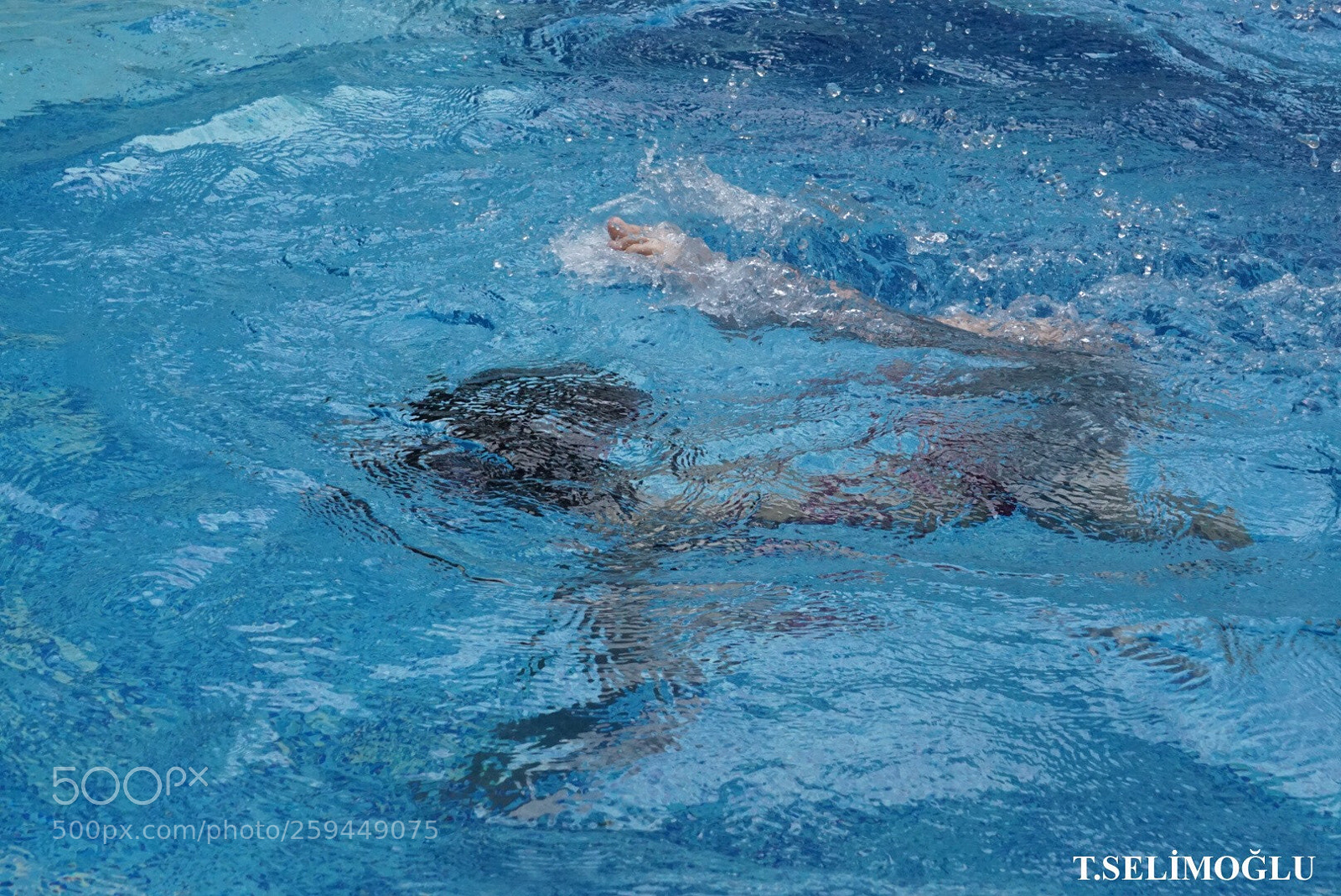 Sony a6000 sample photo. Under water photography