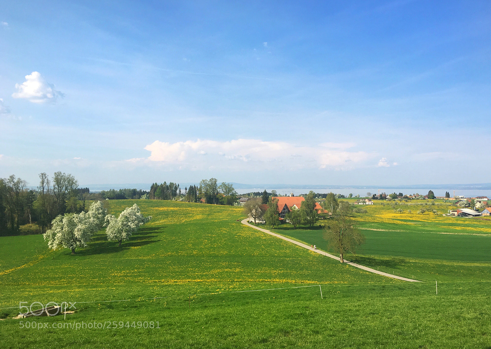 Apple iPhone 6s sample photo. Springtime photography