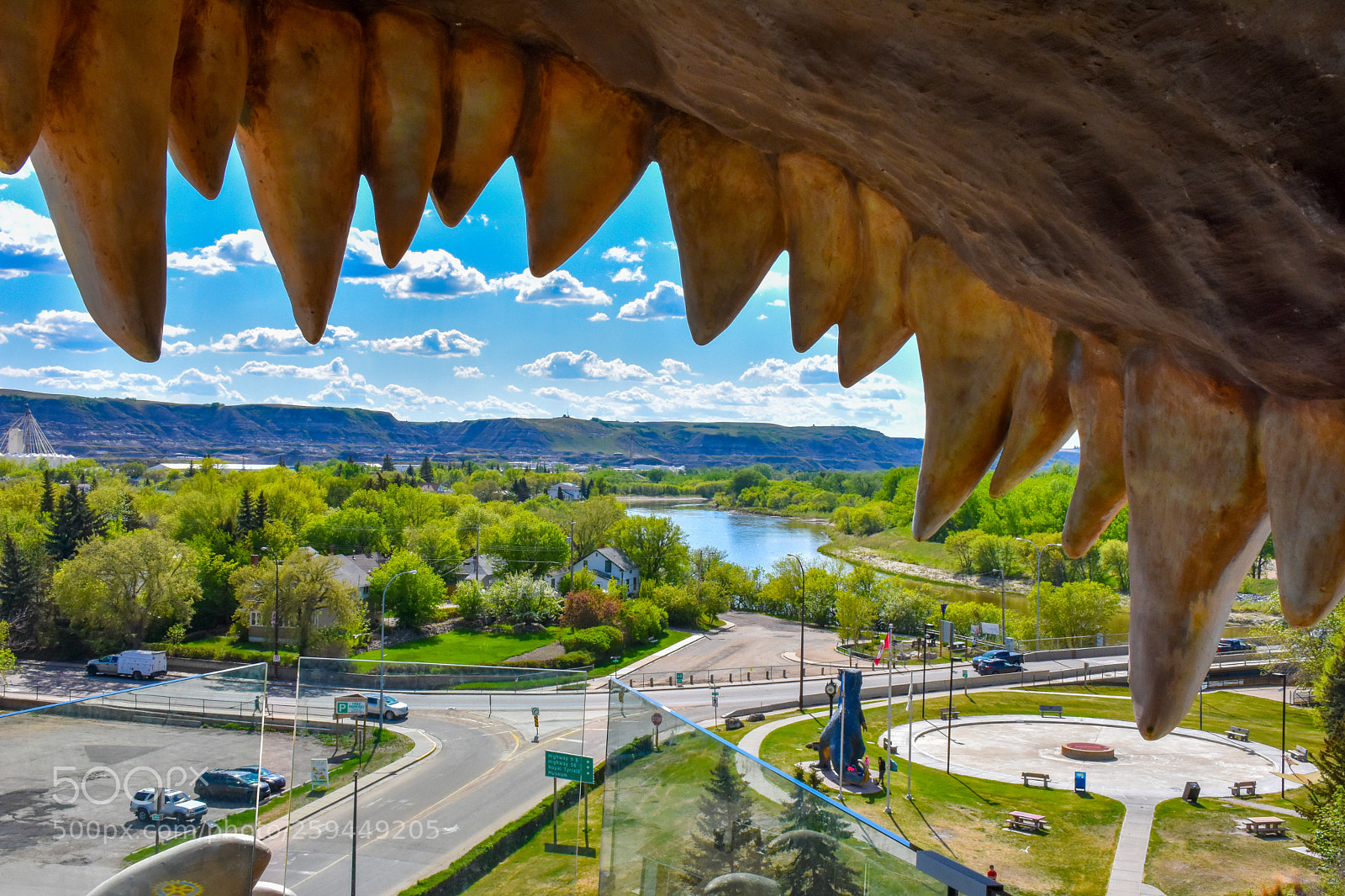 Nikon D7200 sample photo. Inside the mouth of photography