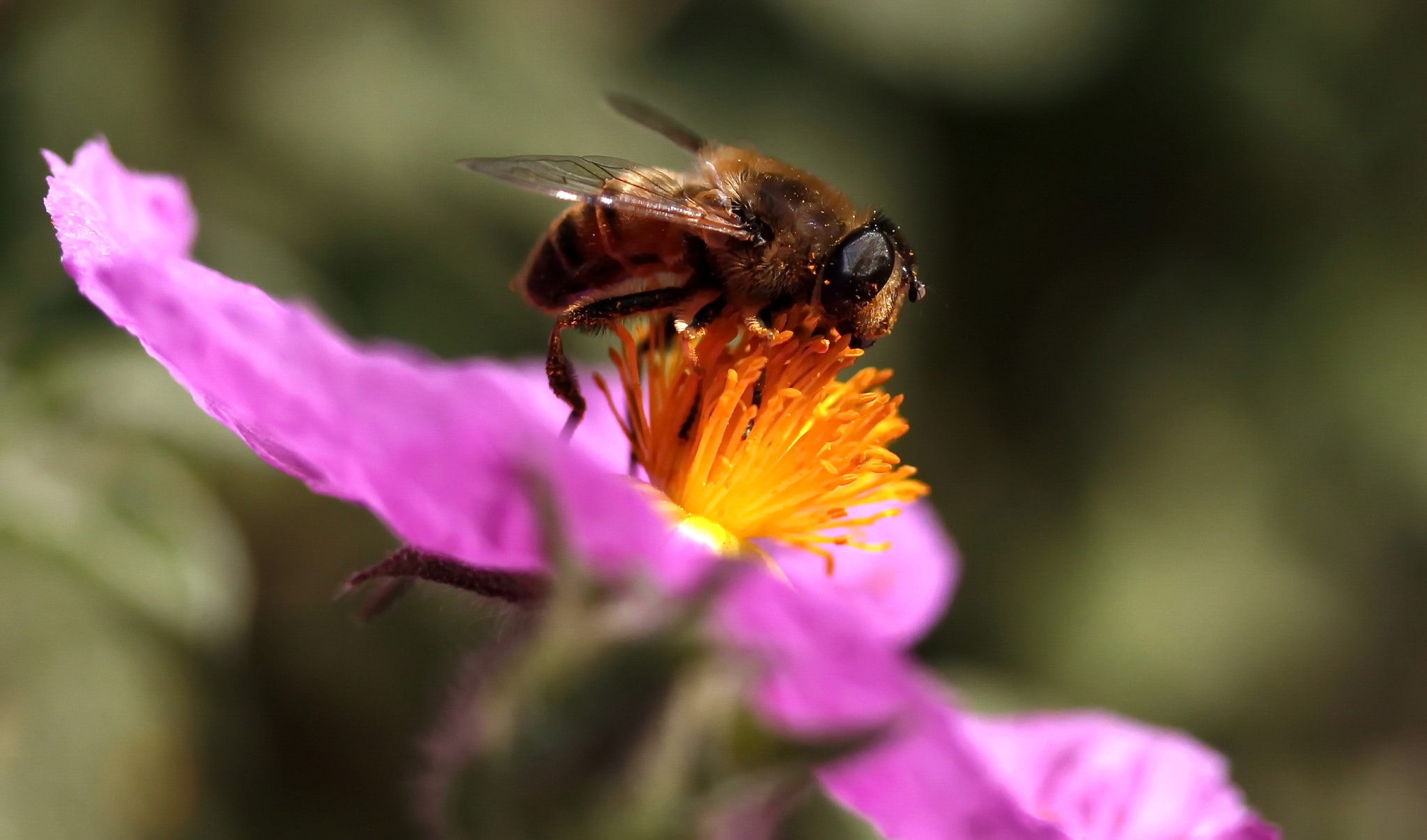 Canon EF-S 60mm F2.8 Macro USM sample photo. Worker photography