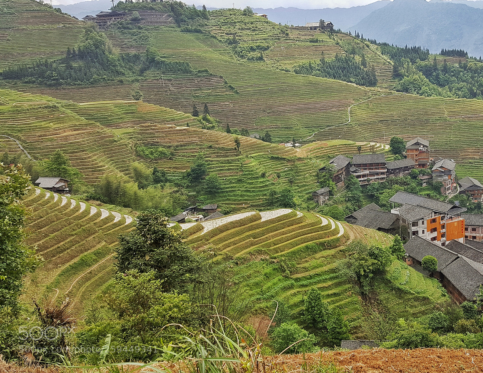 Samsung GALAXY S6 edge sample photo. Longchen ricefields ping'an, china photography