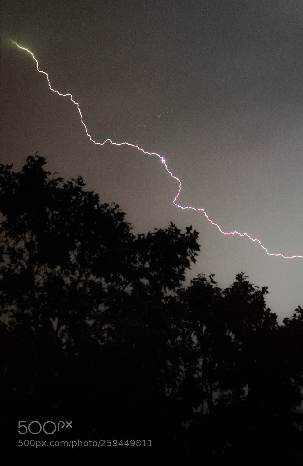 Nikon D3200 sample photo. Yellow lightning photography