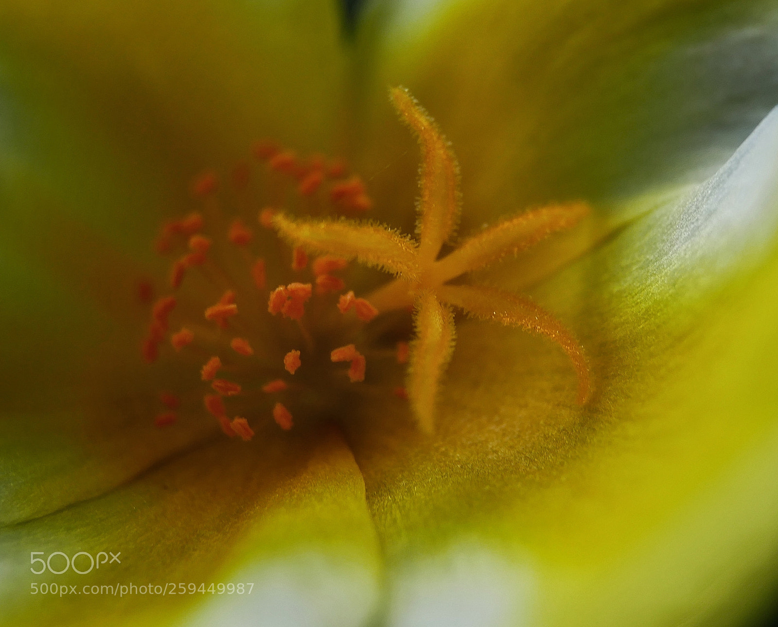 Panasonic Lumix DMC-GX85 (Lumix DMC-GX80 / Lumix DMC-GX7 Mark II) sample photo. *... photography