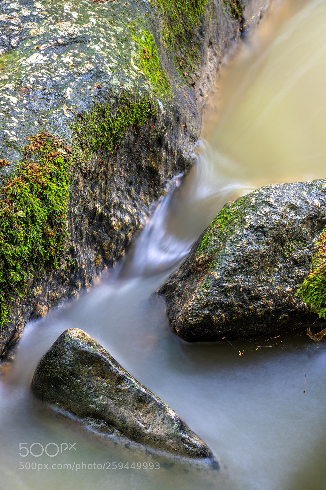 Canon EOS 6D Mark II sample photo. Aist-canal photography