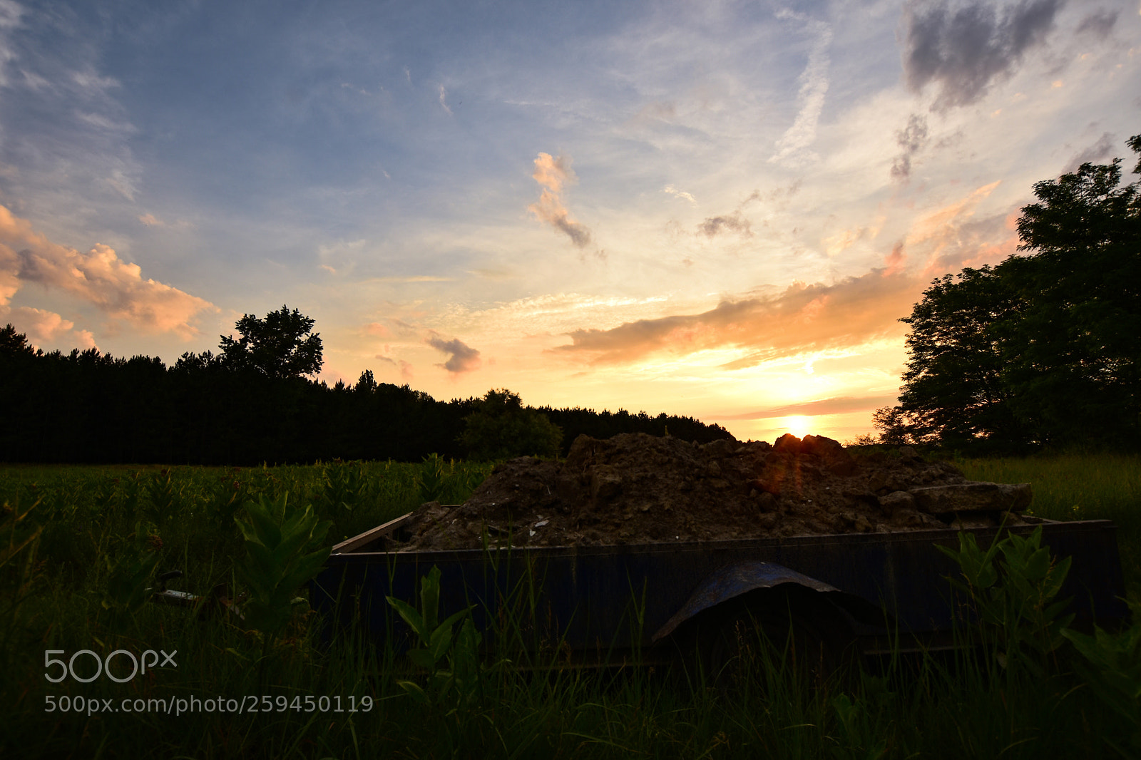 Nikon D7200 sample photo. Untitled photography