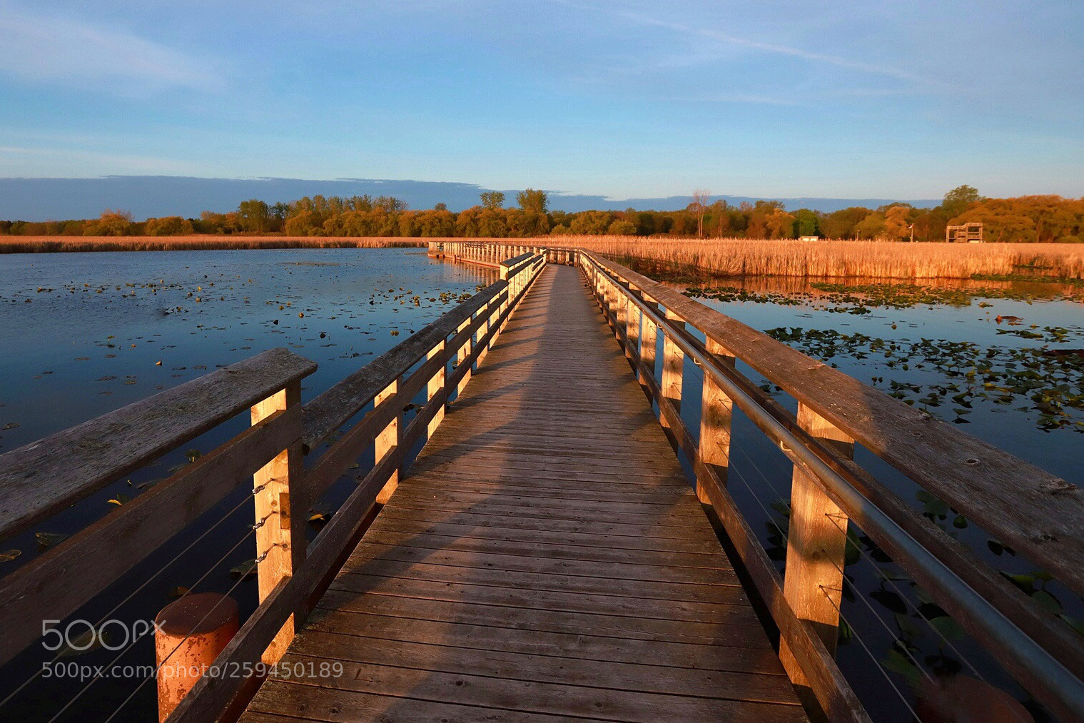 Canon EOS 6D Mark II sample photo. Point pelee board walk photography