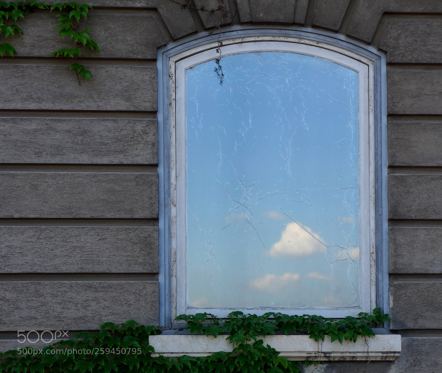 Sony Cyber-shot DSC-RX100 sample photo. A little bit like photography