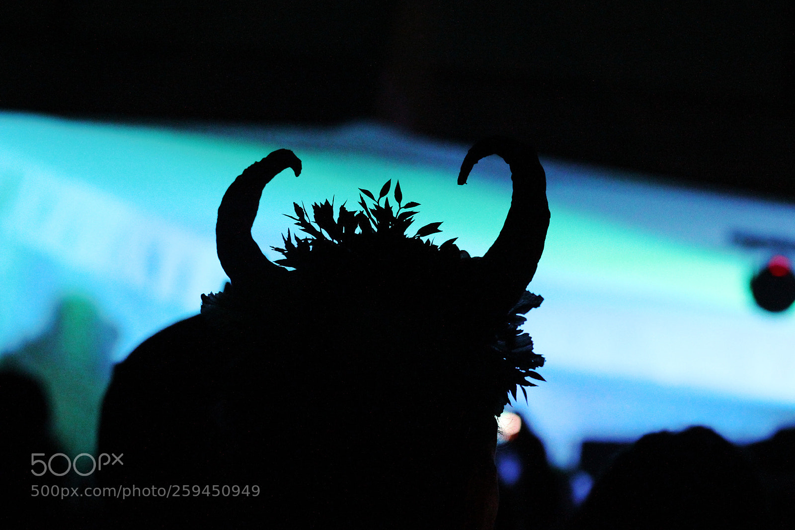 Canon EOS 600D (Rebel EOS T3i / EOS Kiss X5) sample photo. Horns in the night photography