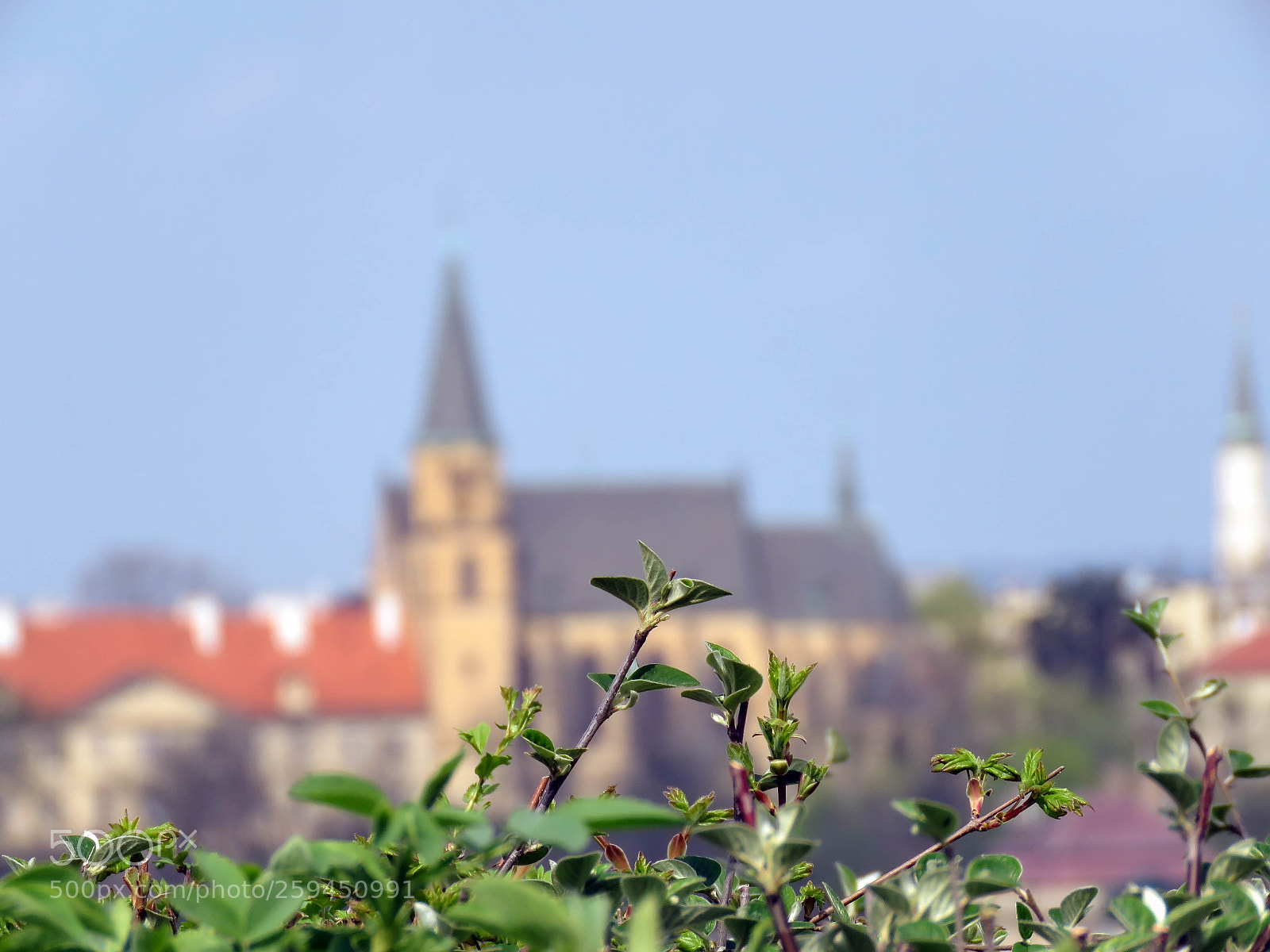 Canon PowerShot SX60 HS sample photo. Types of prague in photography