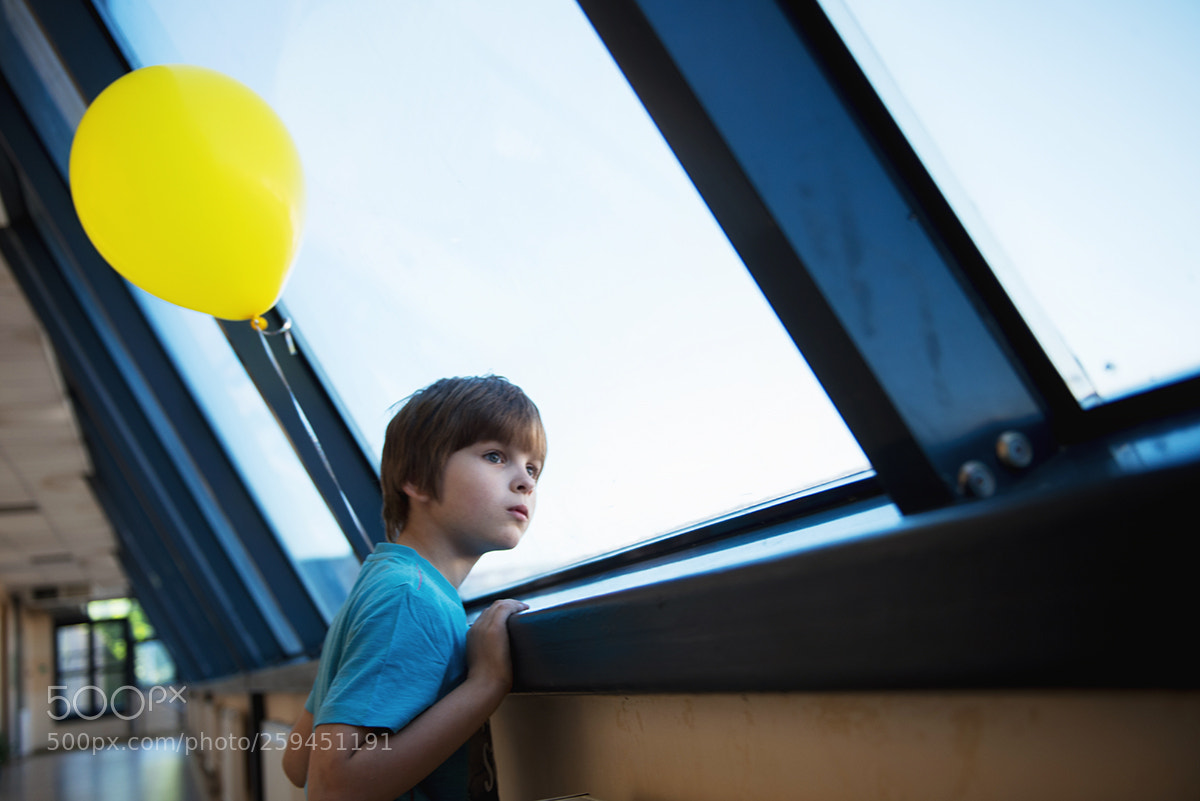 Nikon D750 sample photo. Untitled photography