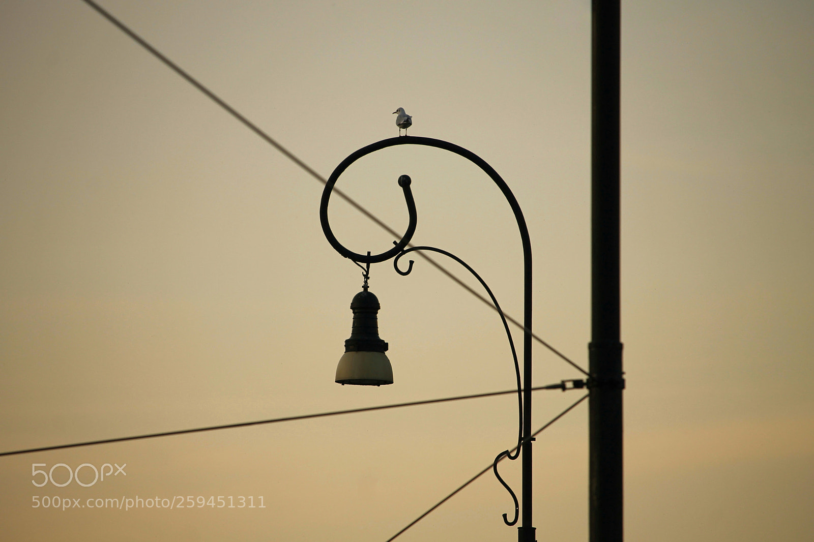 Canon EOS 1100D (EOS Rebel T3 / EOS Kiss X50) sample photo. Solitude photography