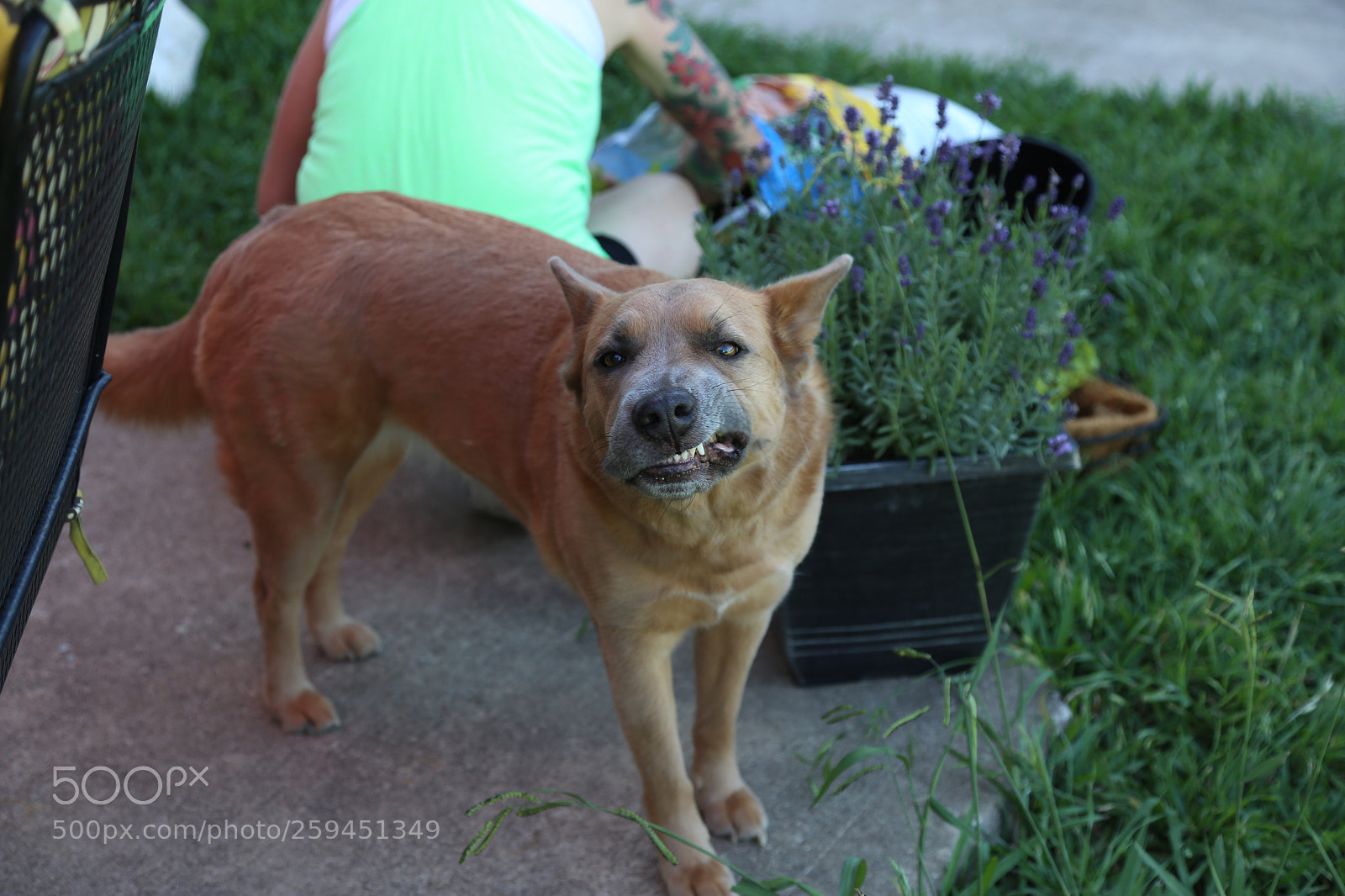 Canon EOS 6D + Canon EF 24-105mm F4L IS USM sample photo. Copy photography