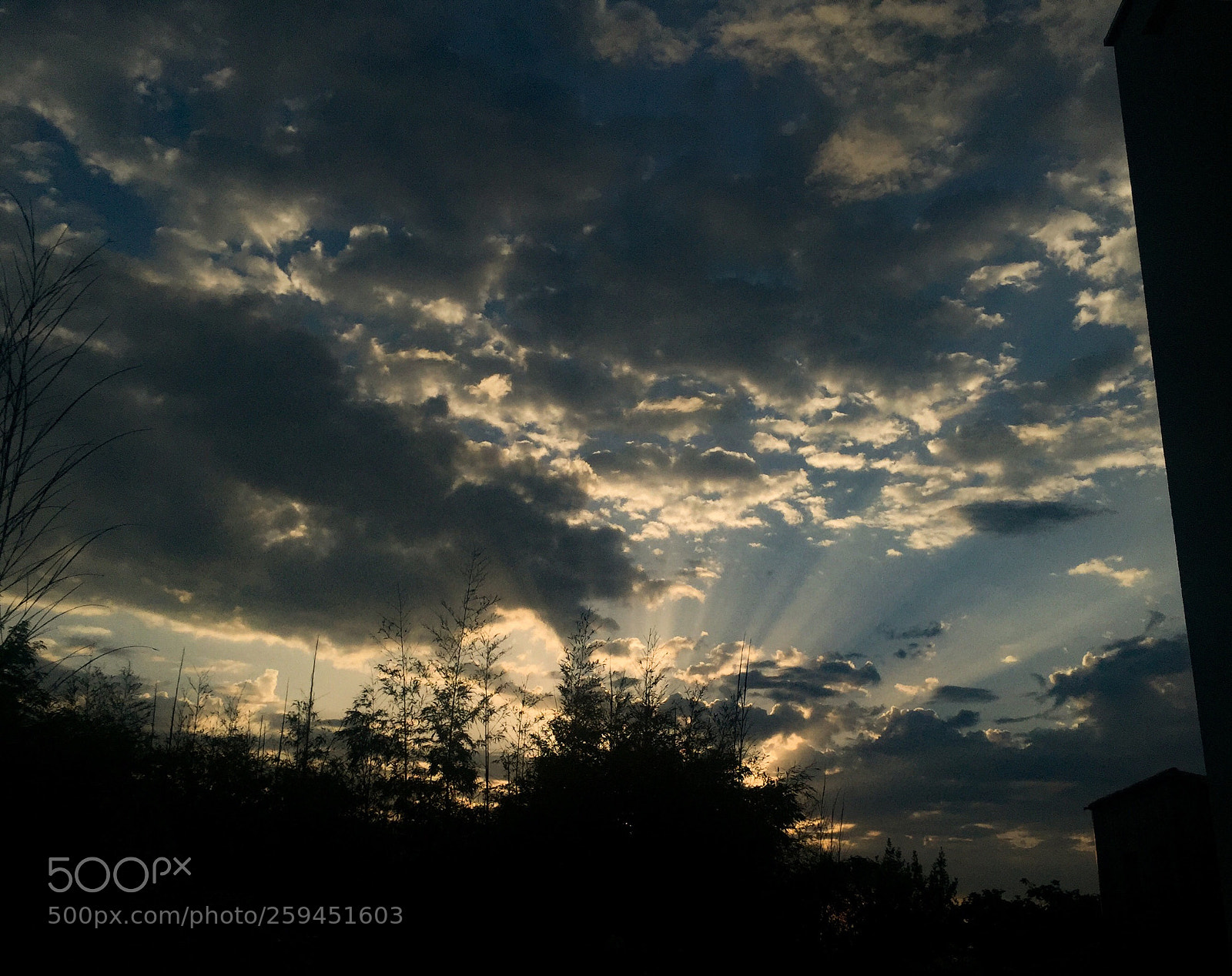 Apple iPhone 6 sample photo. Soleil levant ou couchant  photography