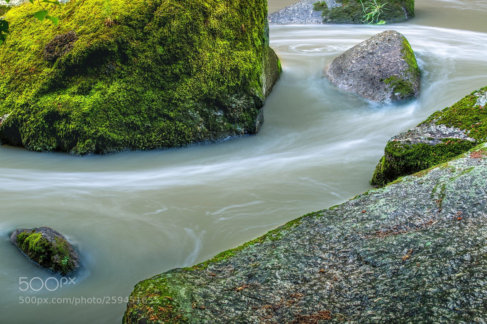 Canon EOS 6D Mark II sample photo. Natural swirl photography