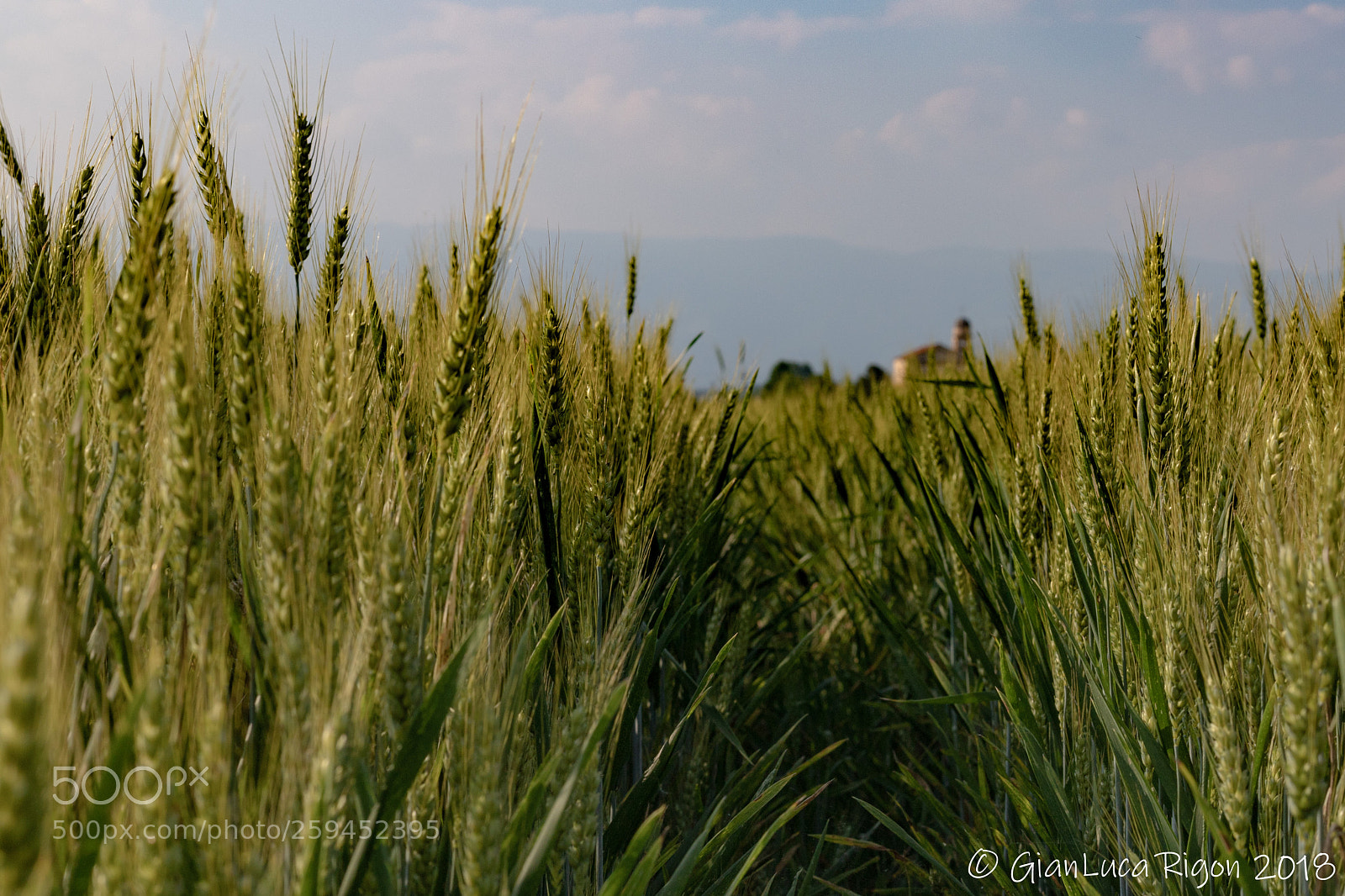 Canon EOS 6D Mark II sample photo. Cappellla gentilizia di villa photography