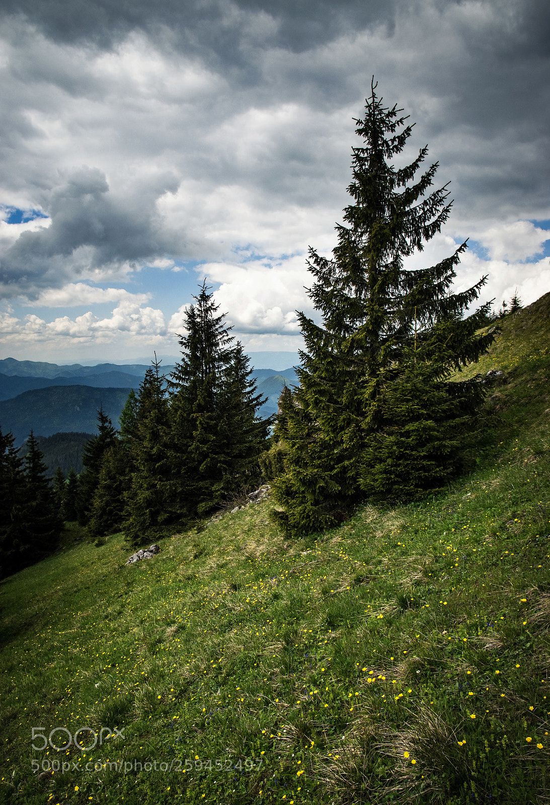 Nikon D5500 sample photo. A dramatic landscape with photography