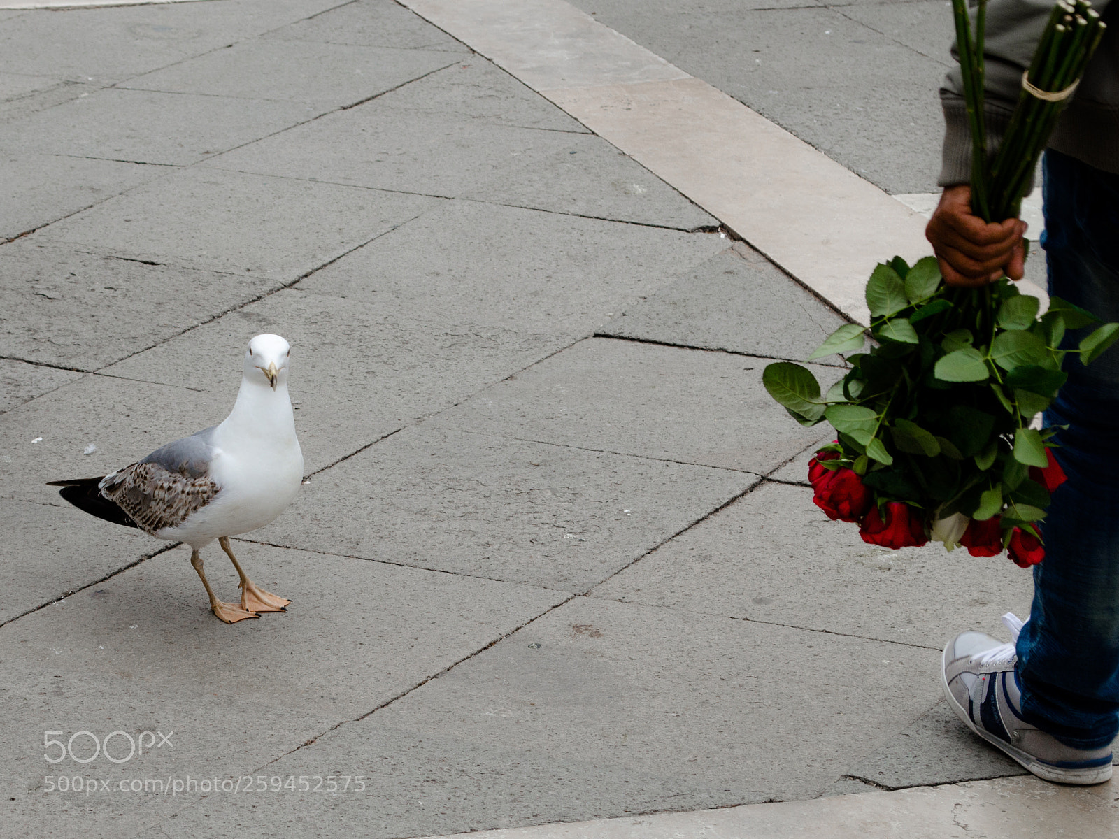 Nikon D5100 sample photo. Is it for me? photography