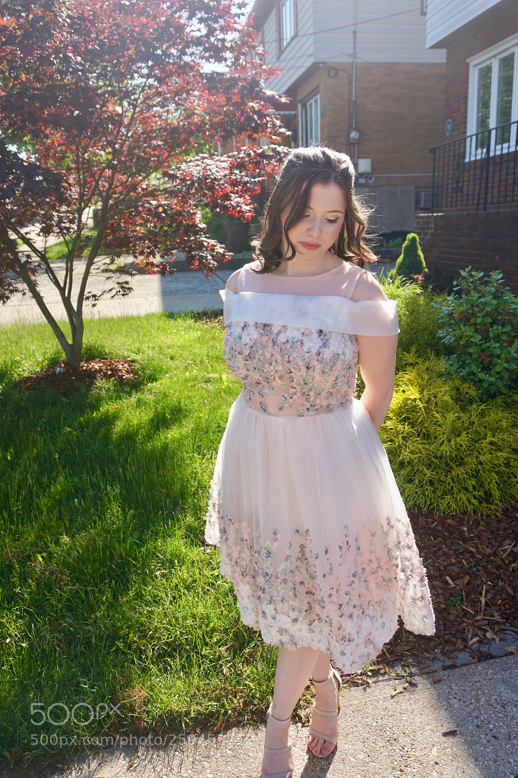 Sony a6000 sample photo. Dsc photography