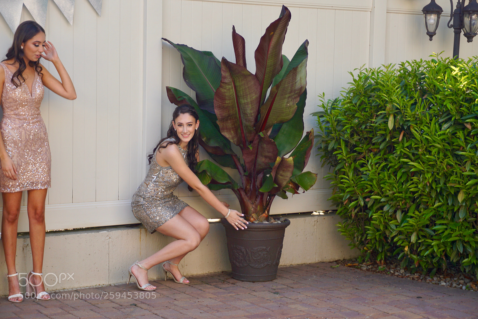 Sony a6000 sample photo. Dsc photography