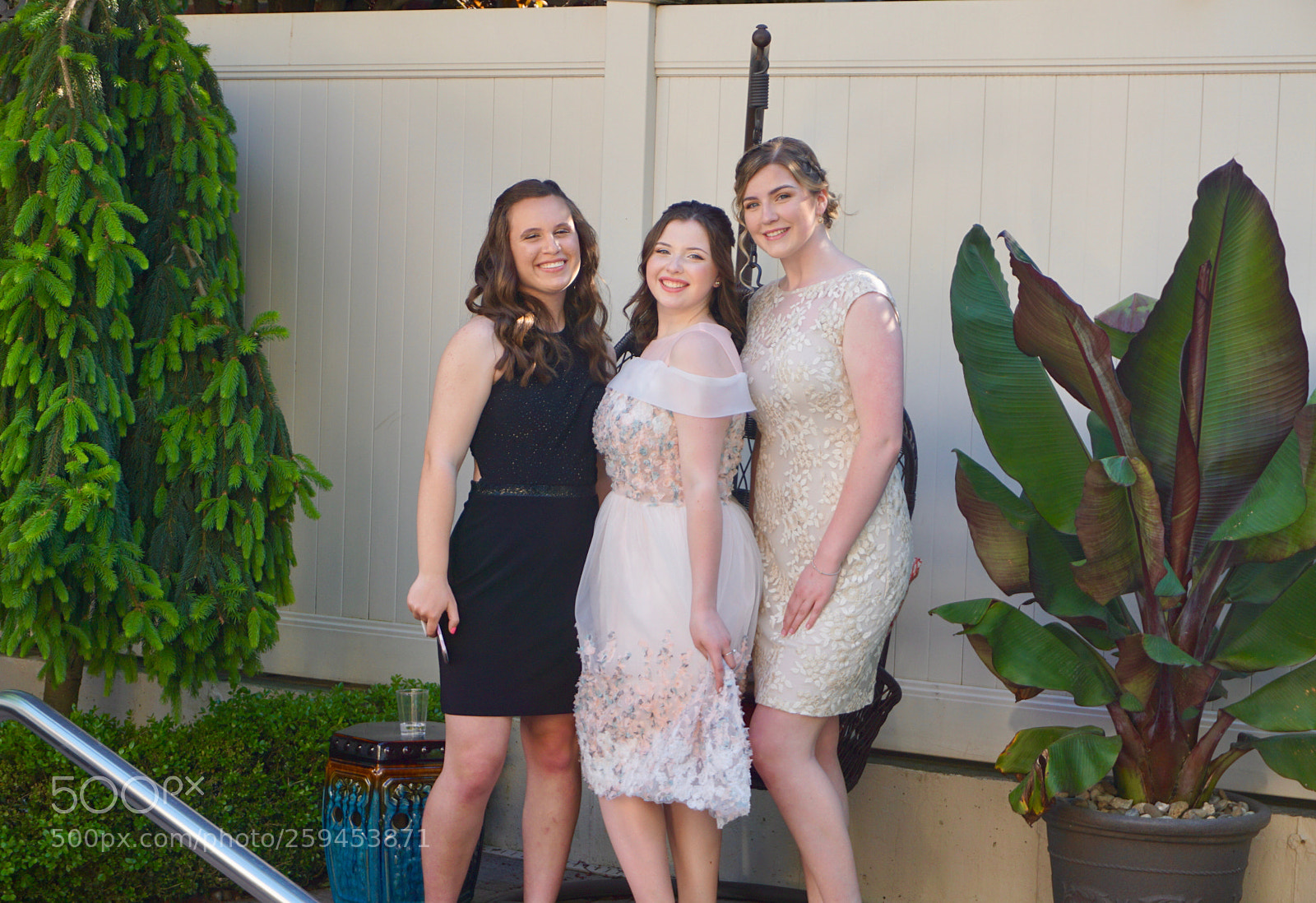 Sony a6000 sample photo. Dsc photography