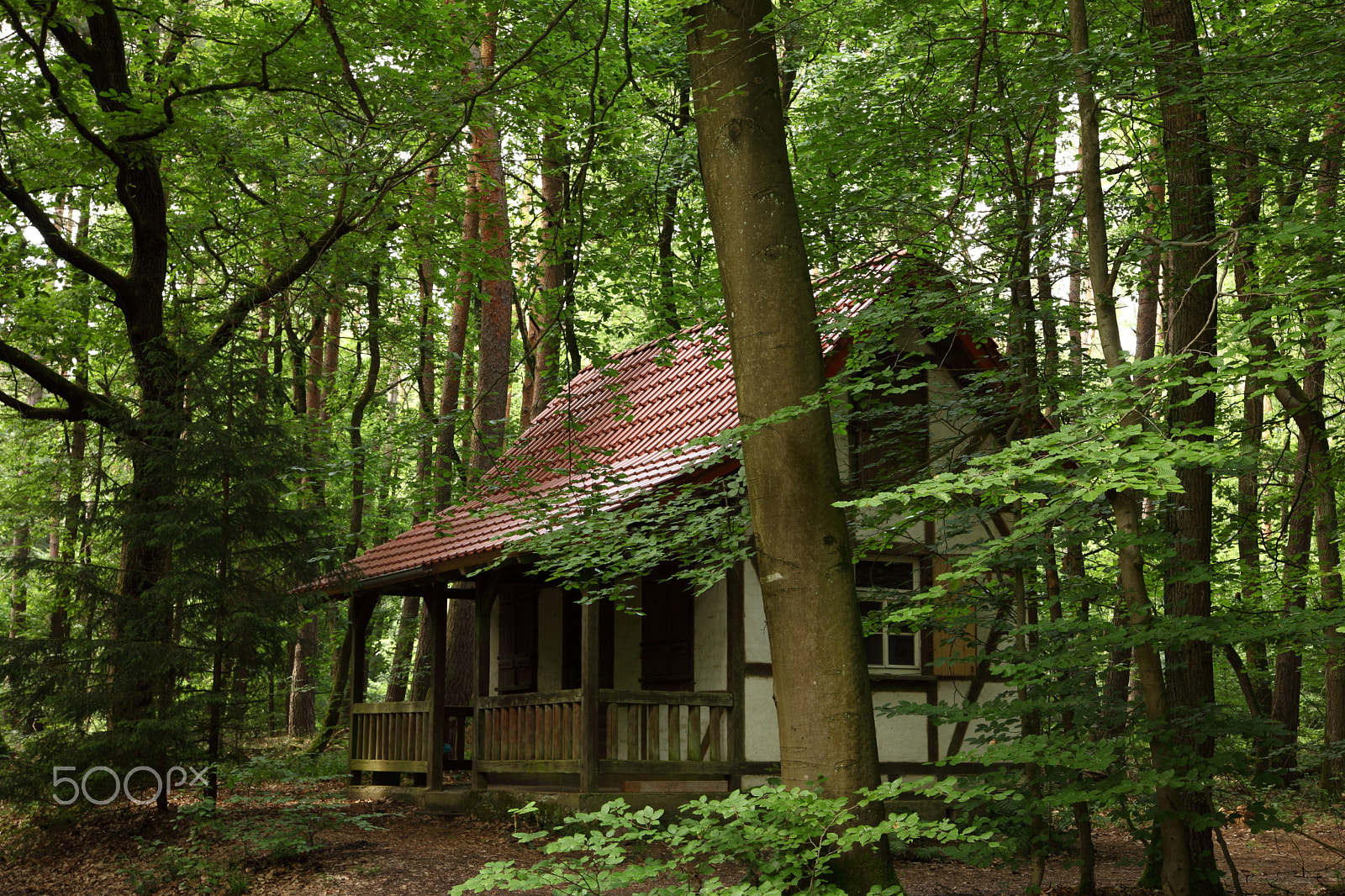 Canon EOS 5D Mark II sample photo. The cabin photography