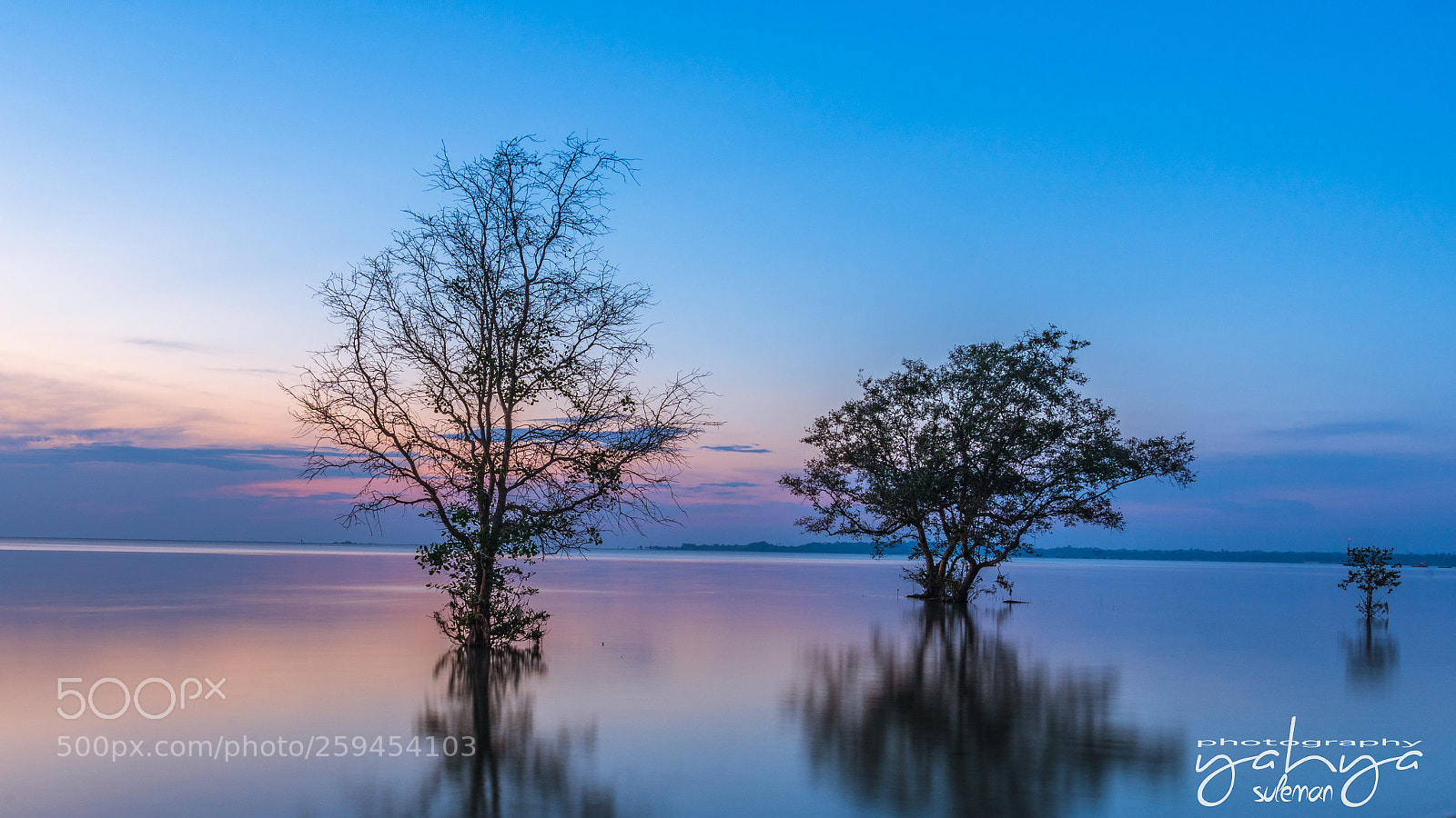 Sony a7R II sample photo. Indonesia sumatra selatan pletong photography