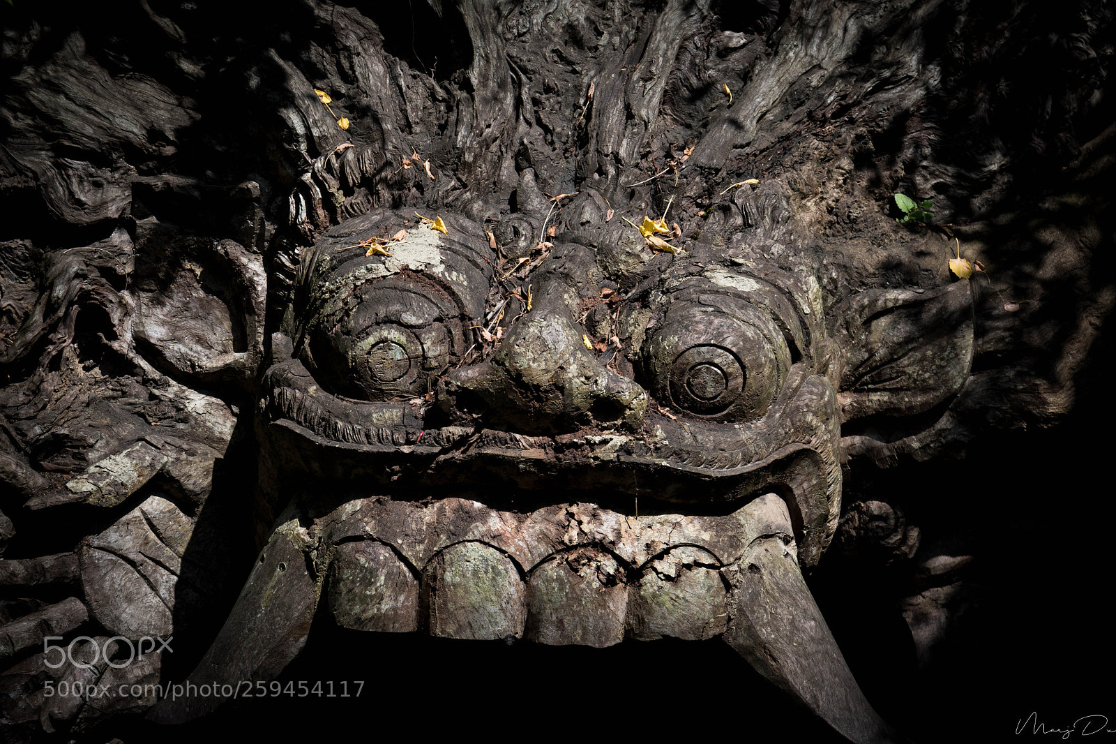 Nikon D5500 sample photo. Le royaume de ganesha photography