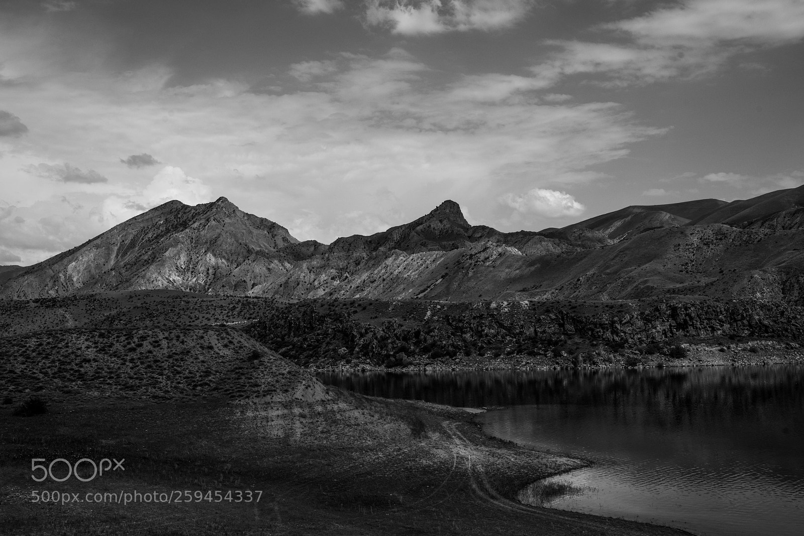 Nikon D810 sample photo. Nature photography