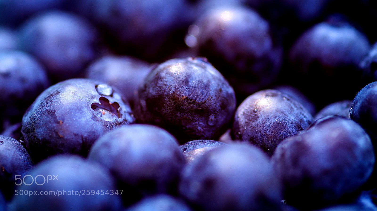 Sony SLT-A58 sample photo. Blueberries photography