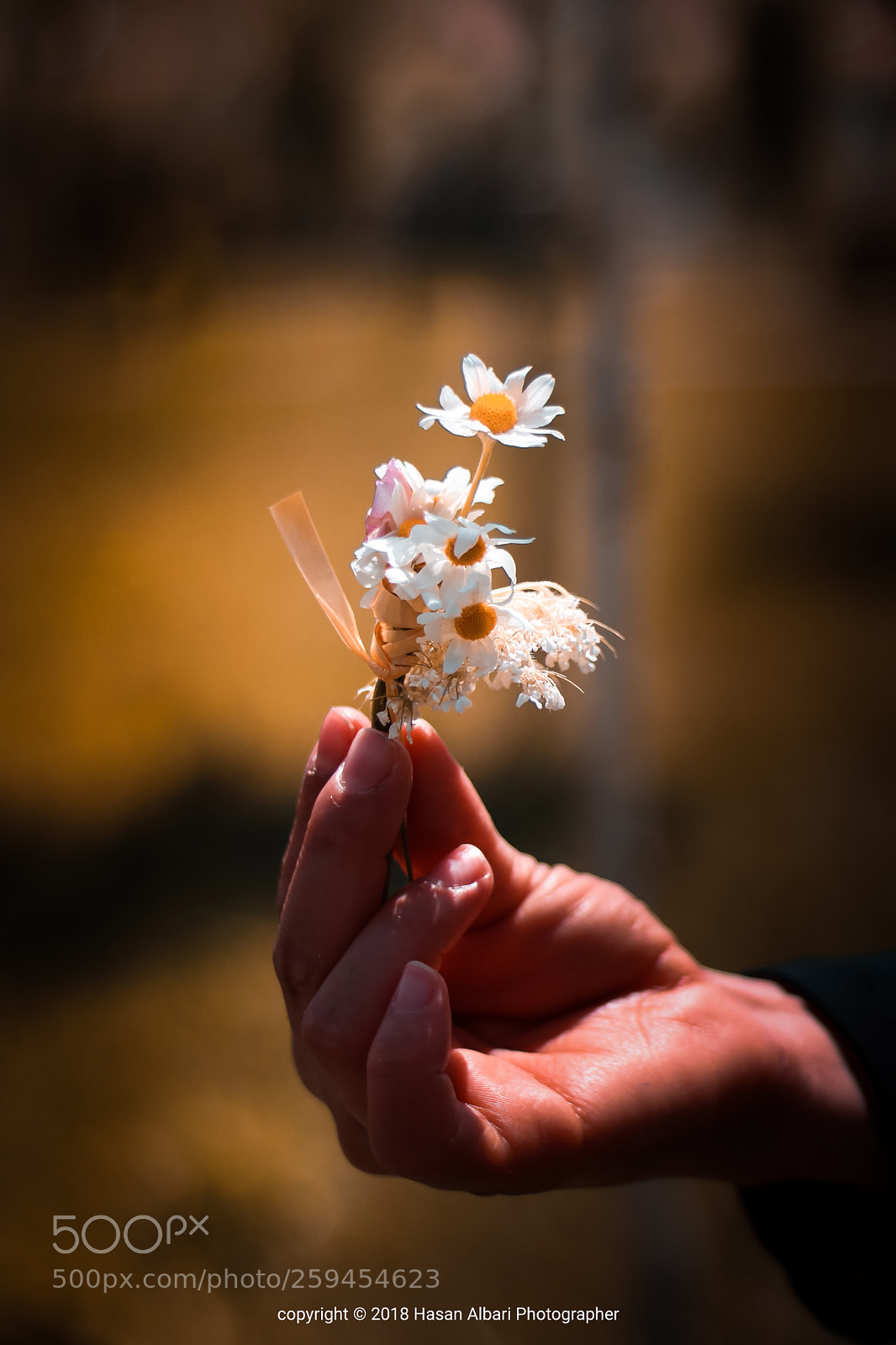 Canon EOS 80D sample photo. Flower by hand photography