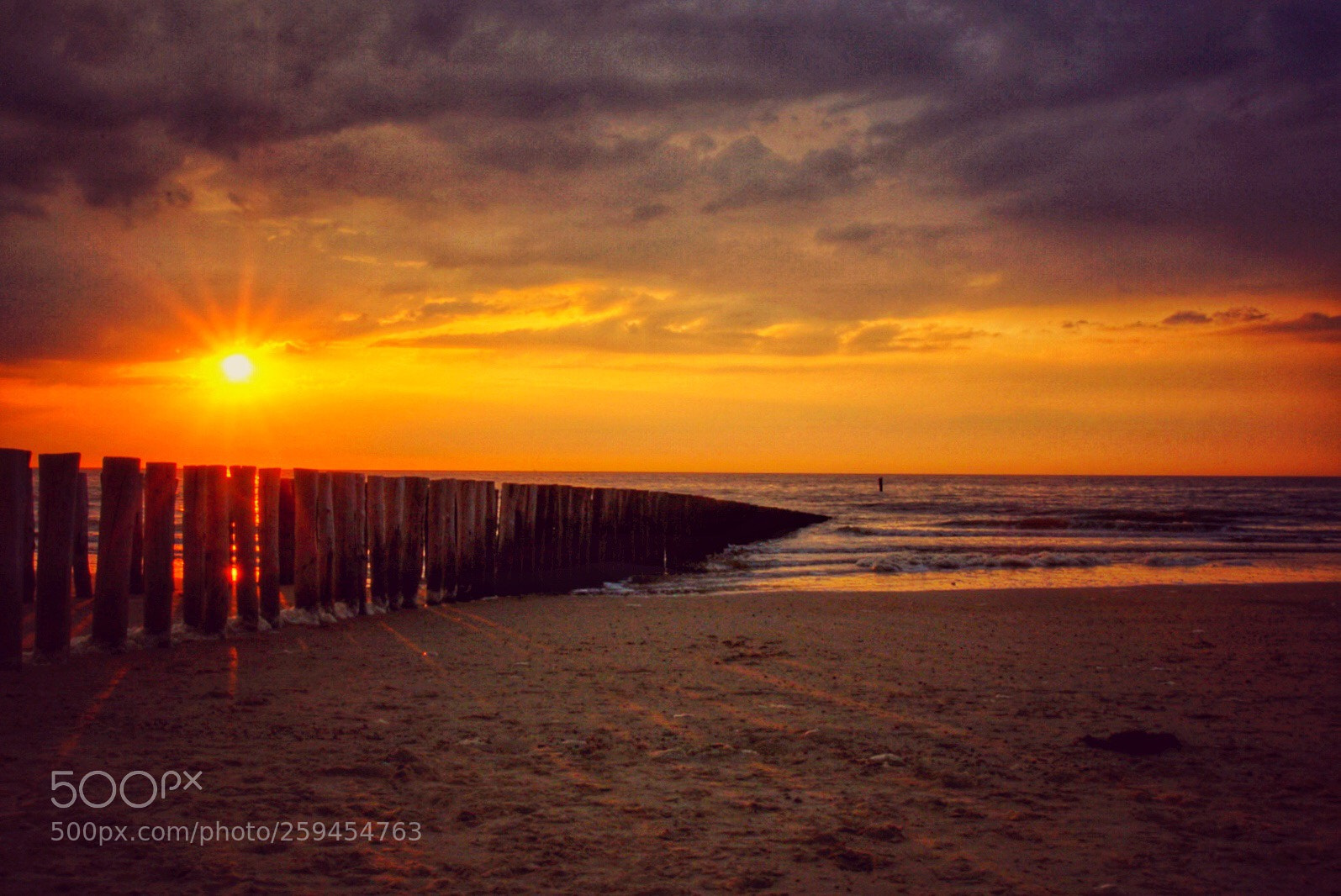 Sony ILCA-77M2 sample photo. Northsea  photography