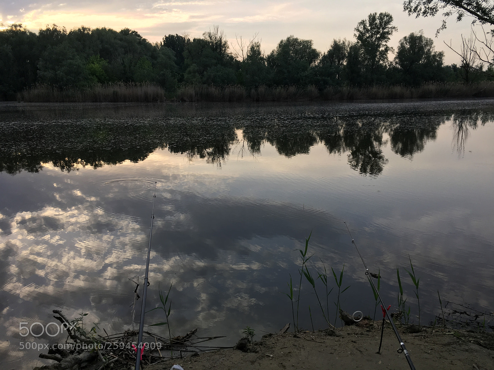 Apple iPhone 6s sample photo. Untitled photography