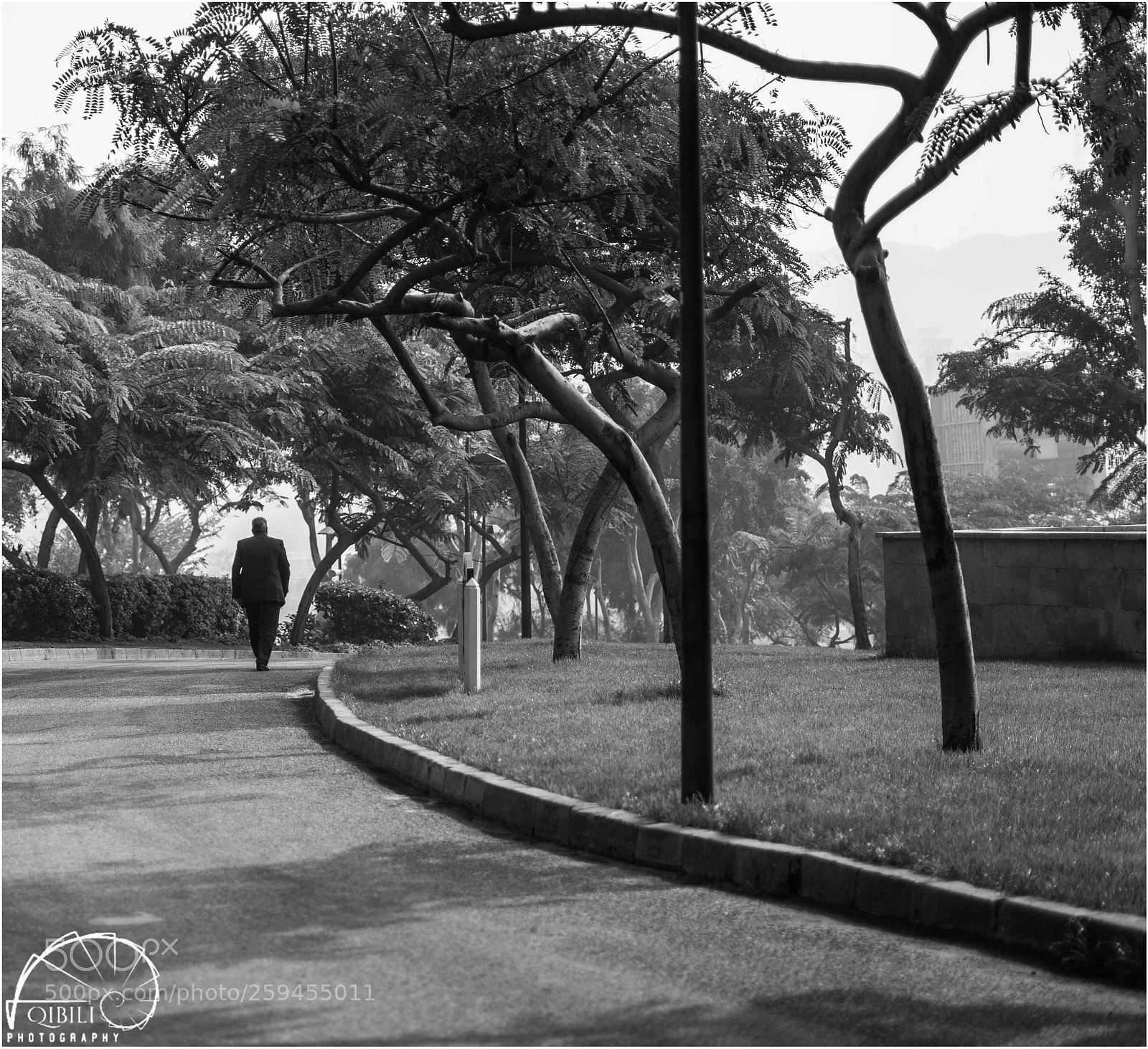 Sony a7 II sample photo. Man in al-azhar park photography