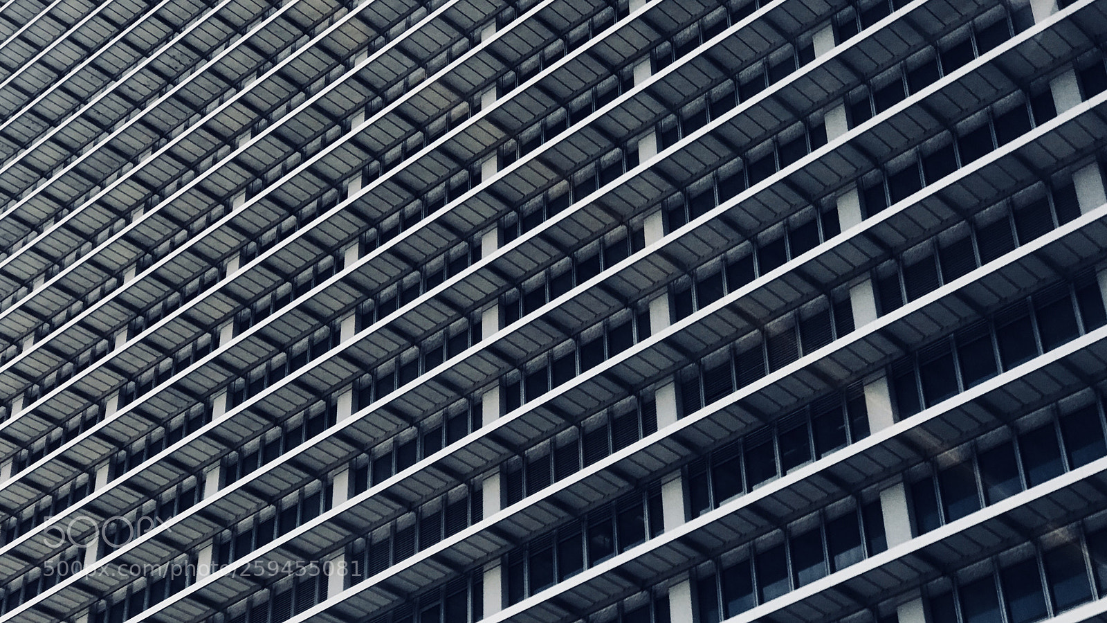 Apple iPhone 7 Plus sample photo. H photography