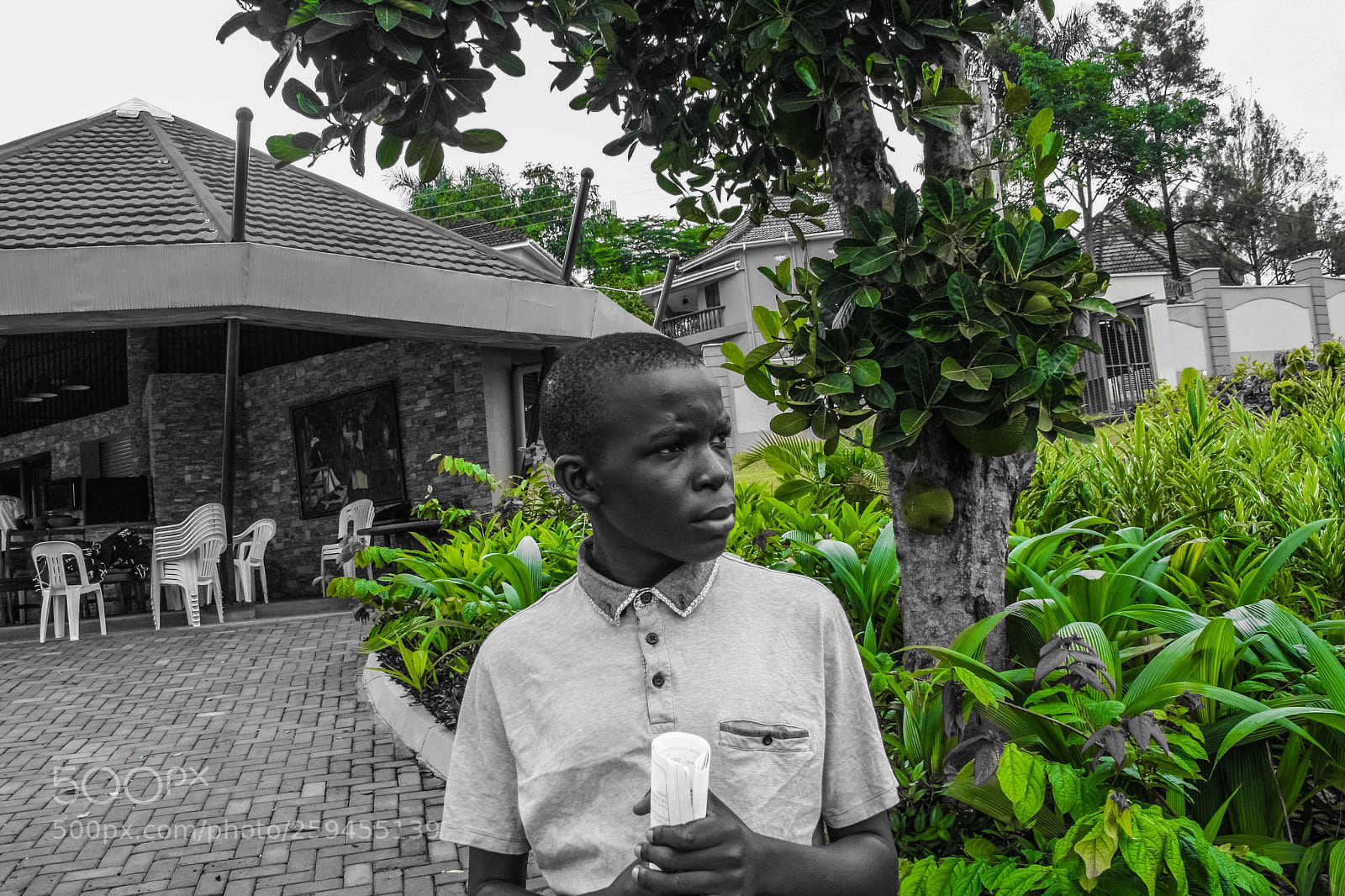 Canon EOS 40D sample photo. Between the concrete green photography