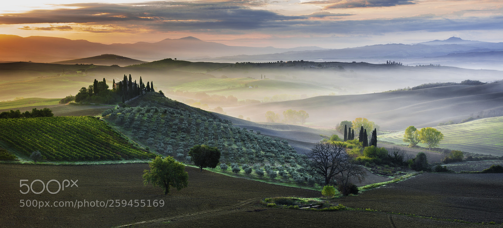 Nikon D600 sample photo. San quirico d'orcia photography