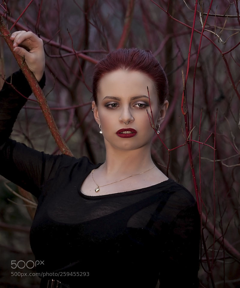 Canon EOS 5D Mark II sample photo. Fix photography