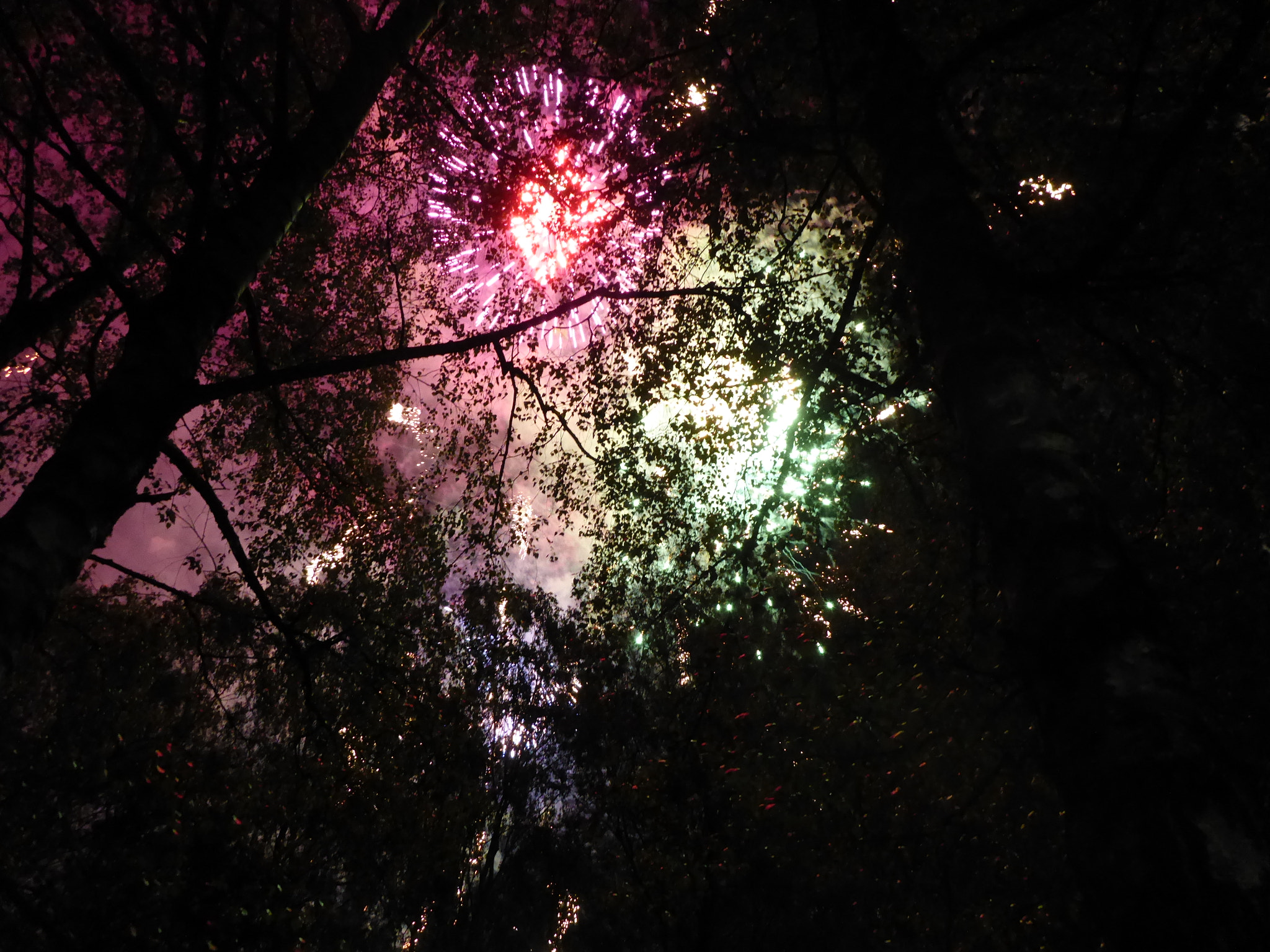 Panasonic Lumix DMC-TS5 (Lumix DMC-FT5) sample photo. Dultfeuerwerk photography