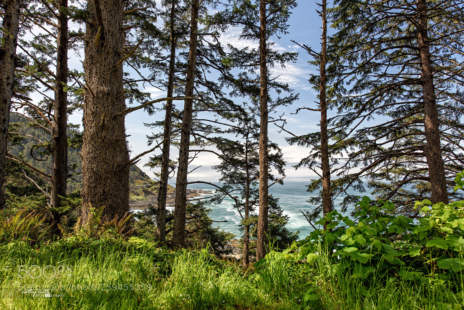 Nikon D810 sample photo. Cape perpetua - oregon photography