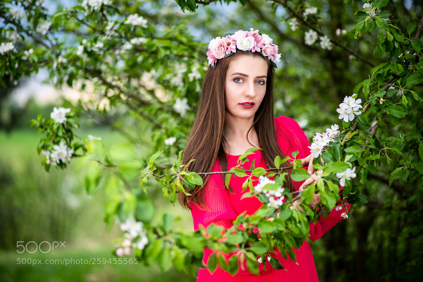 Canon EOS 6D Mark II sample photo. Catterin photography