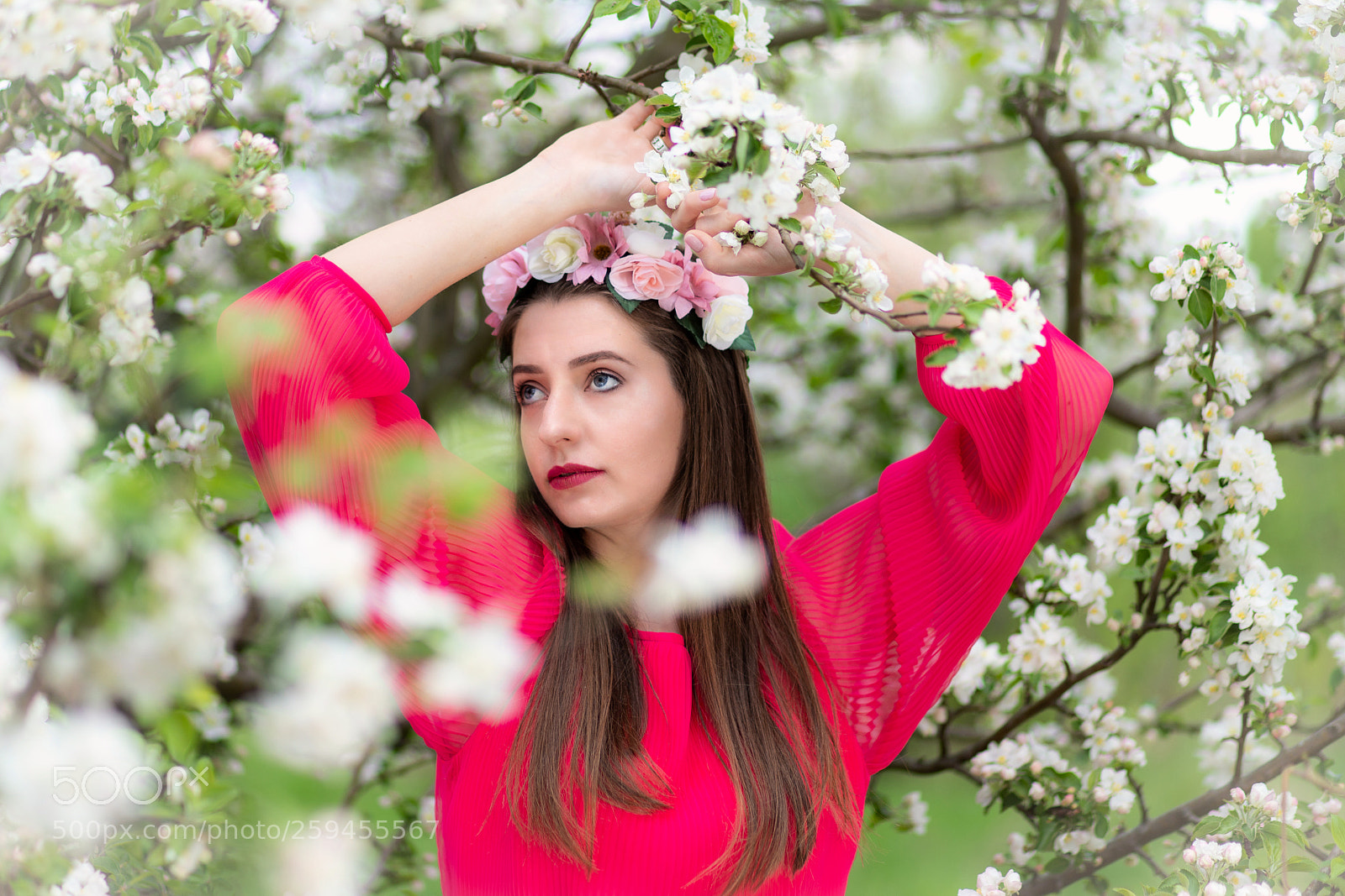 Canon EOS 6D Mark II sample photo. Catterin photography