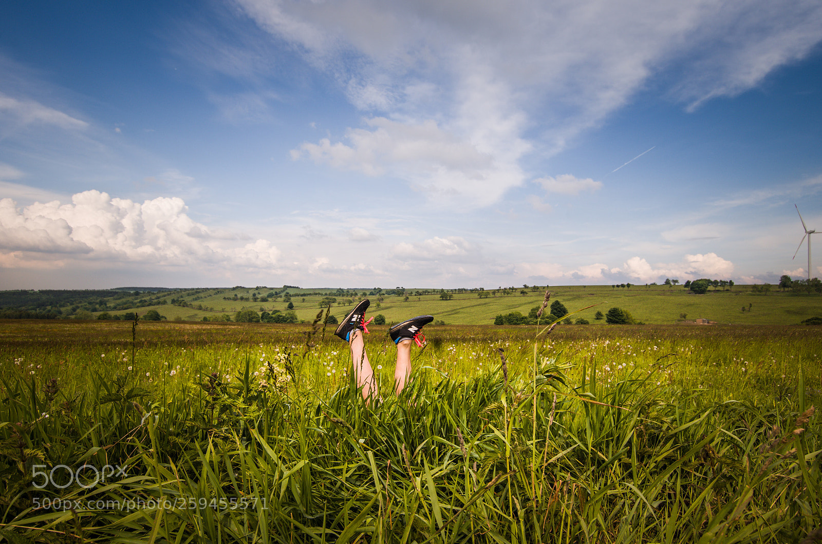 Pentax K-50 sample photo. Untitled photography