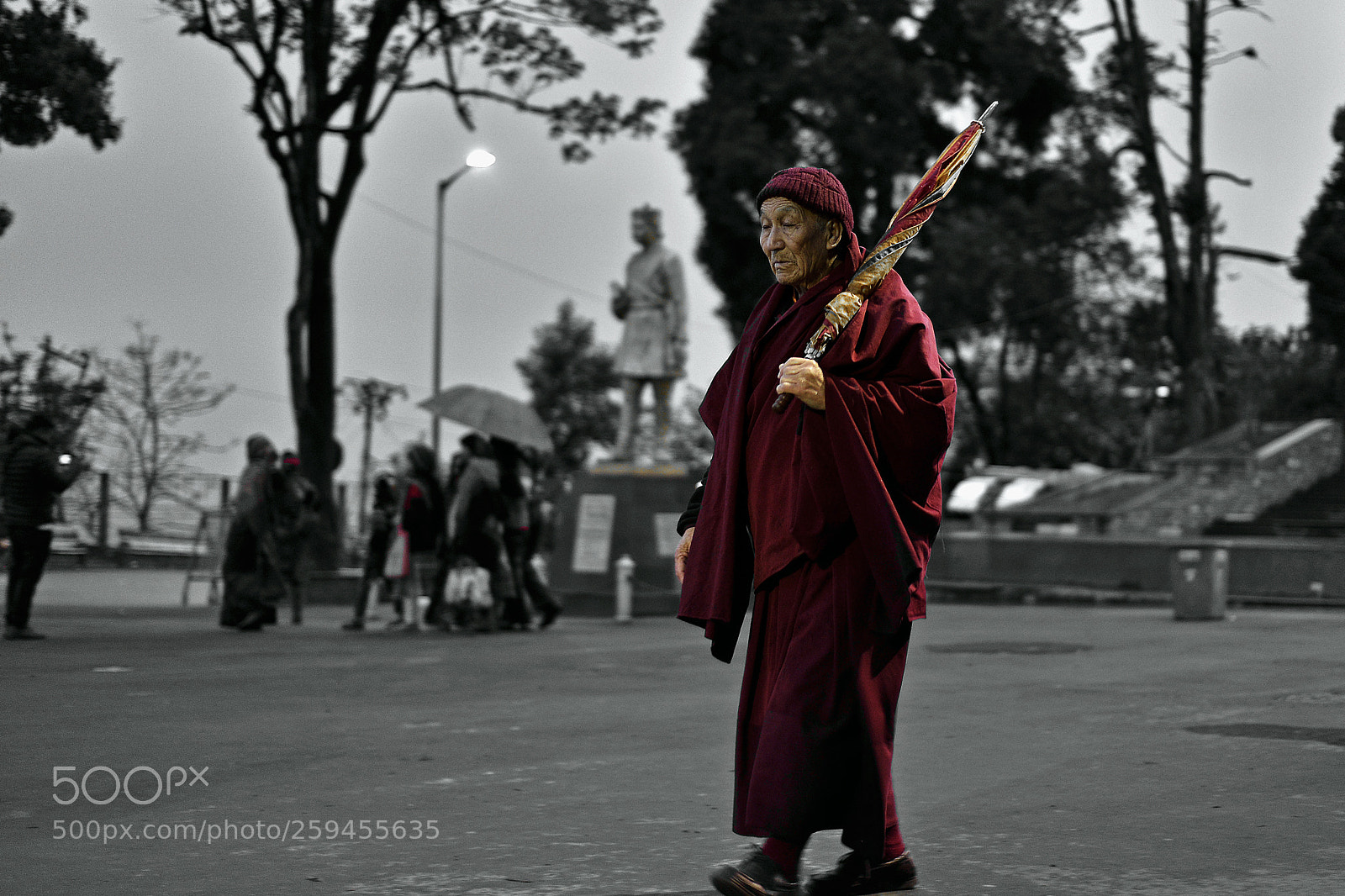 Nikon D610 sample photo. Monk photography