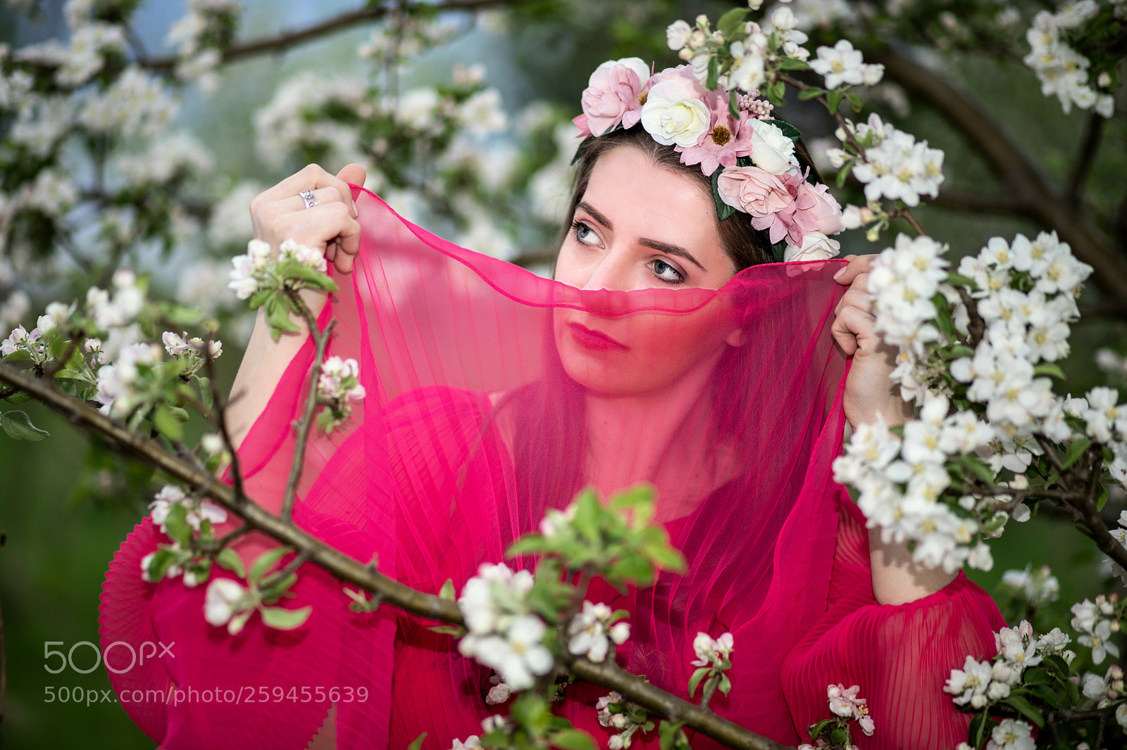 Canon EOS 6D Mark II sample photo. Catterin photography