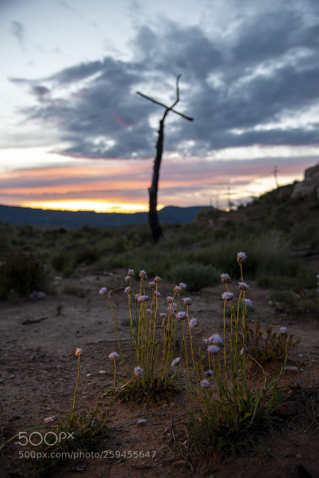 Nikon D610 sample photo. Recuperando,recovering photography