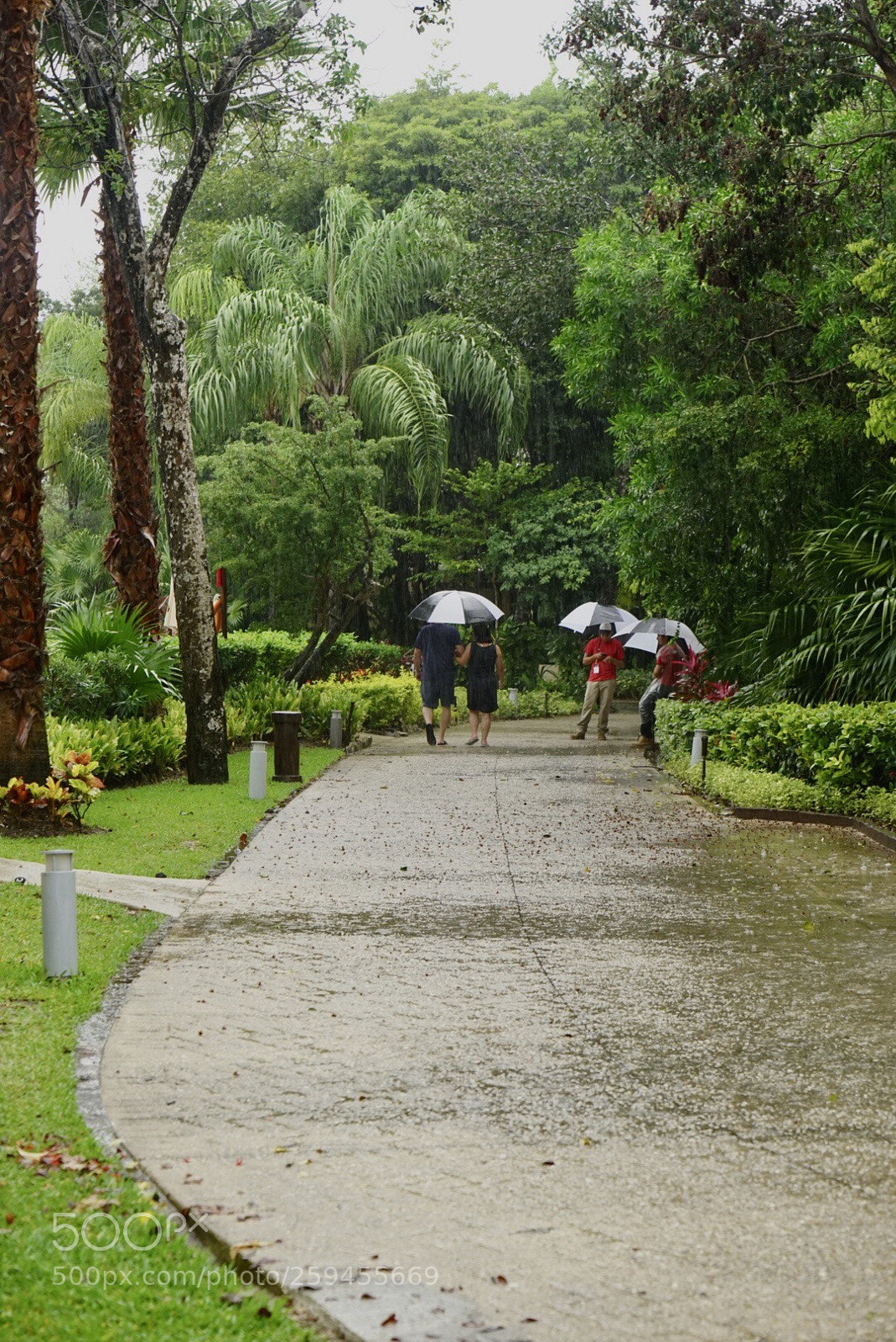 Sony a7 II sample photo. It s a wet photography