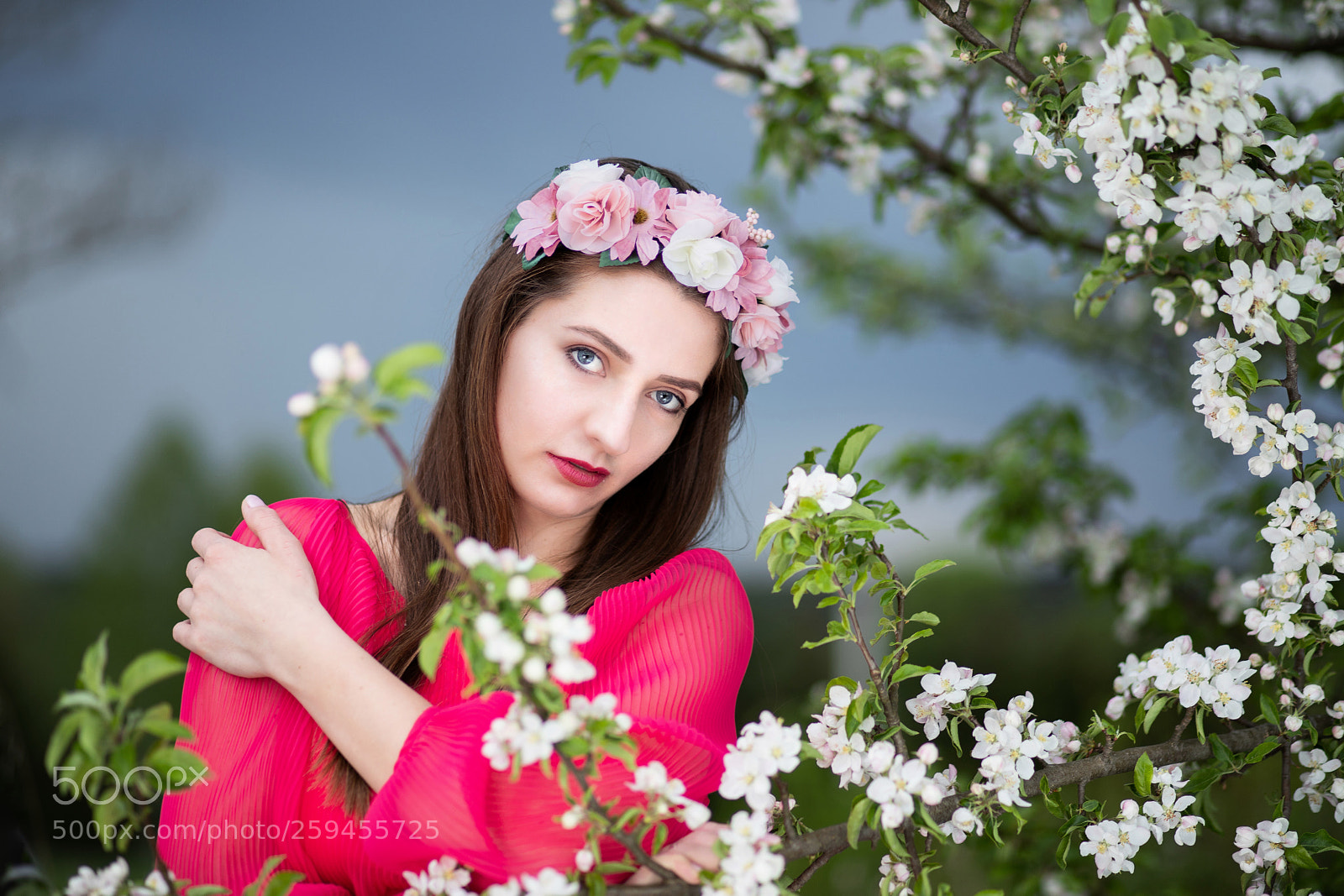 Canon EOS 6D Mark II sample photo. Catterin photography