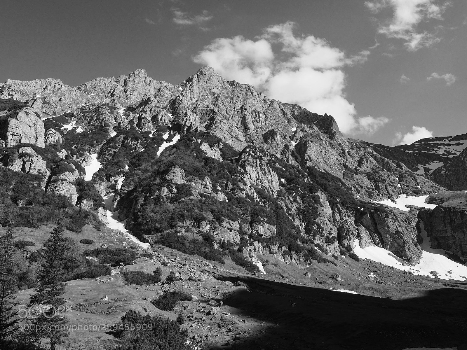 Olympus OM-D E-M10 II sample photo. Malaiesti valley photography