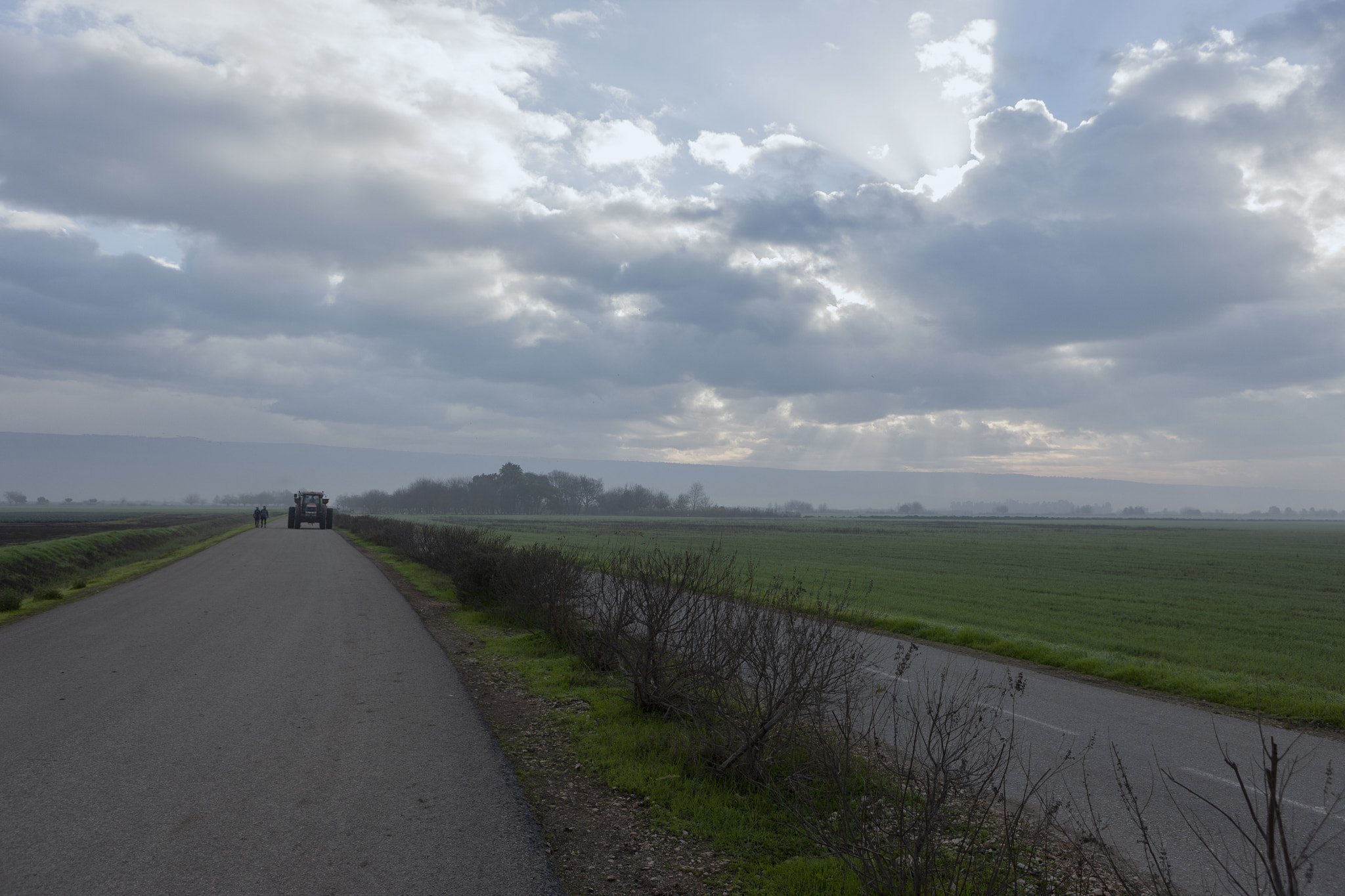 Canon EOS-1Ds Mark III sample photo. Hula valley photography