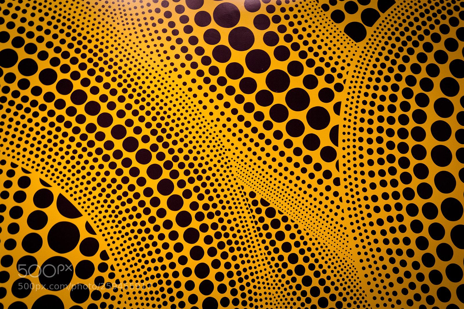 Canon EOS 60D sample photo. Yellow curves photography